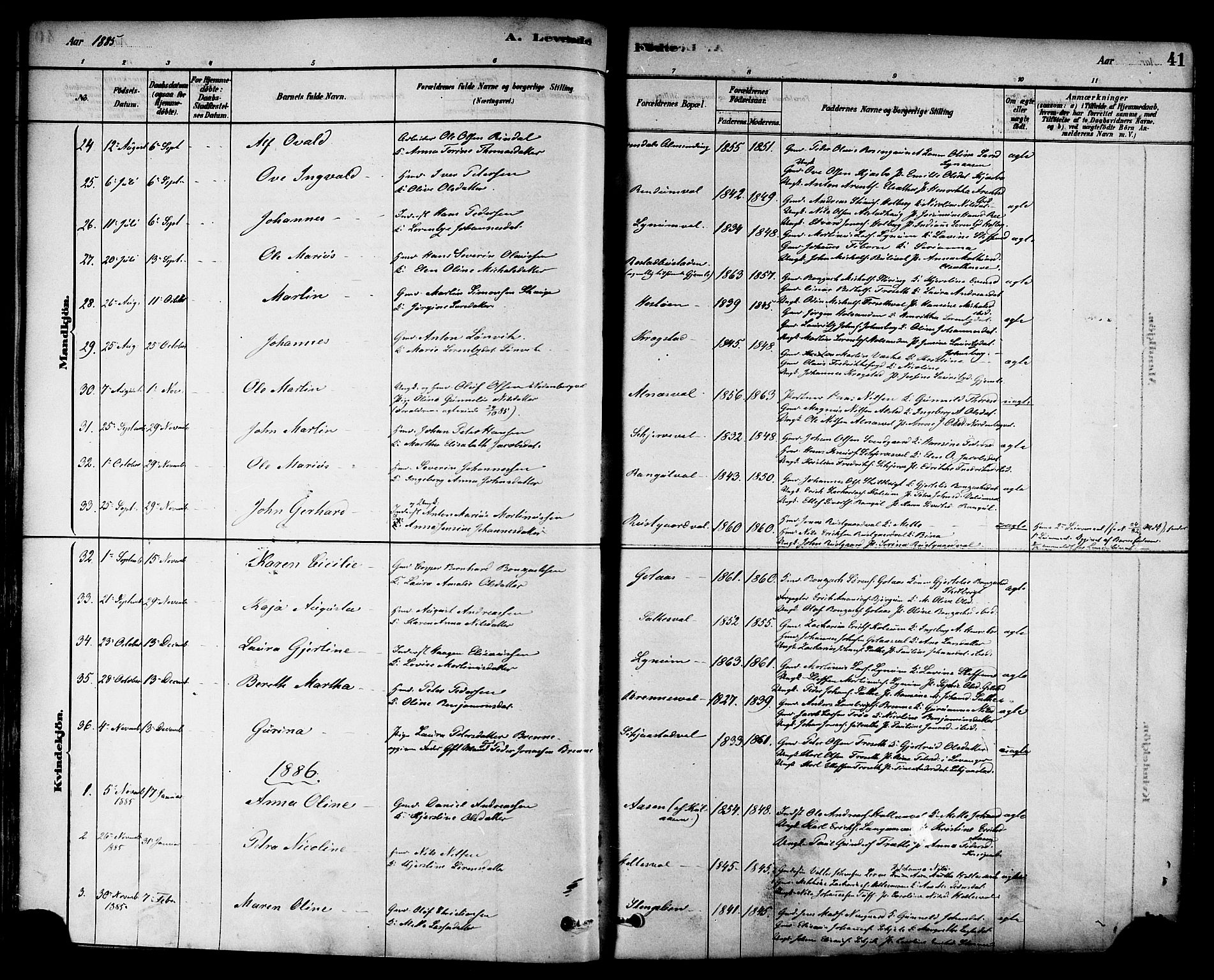 Ministerialprotokoller, klokkerbøker og fødselsregistre - Nord-Trøndelag, SAT/A-1458/717/L0159: Parish register (official) no. 717A09, 1878-1898, p. 41