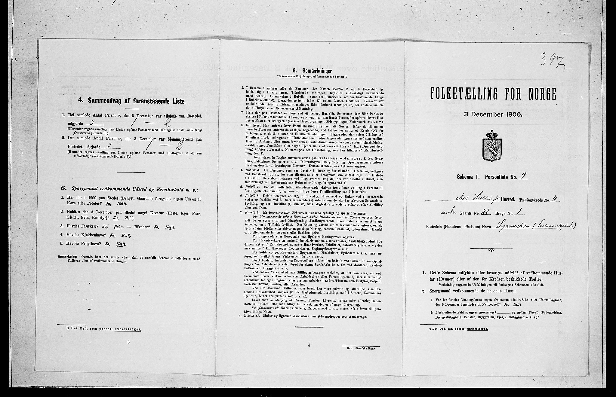 RA, 1900 census for Nes, 1900, p. 1043