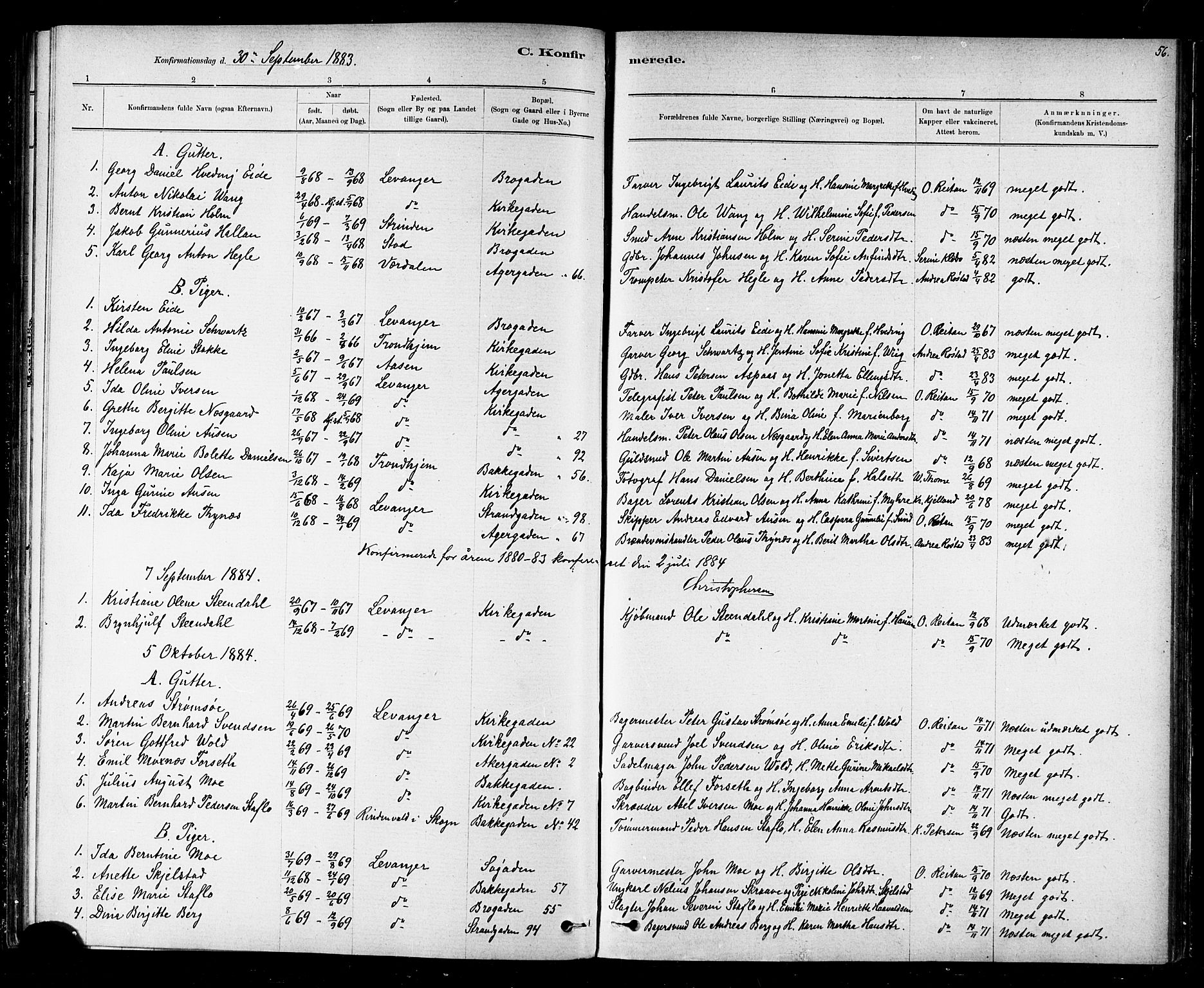 Ministerialprotokoller, klokkerbøker og fødselsregistre - Nord-Trøndelag, SAT/A-1458/720/L0192: Parish register (copy) no. 720C01, 1880-1917, p. 56