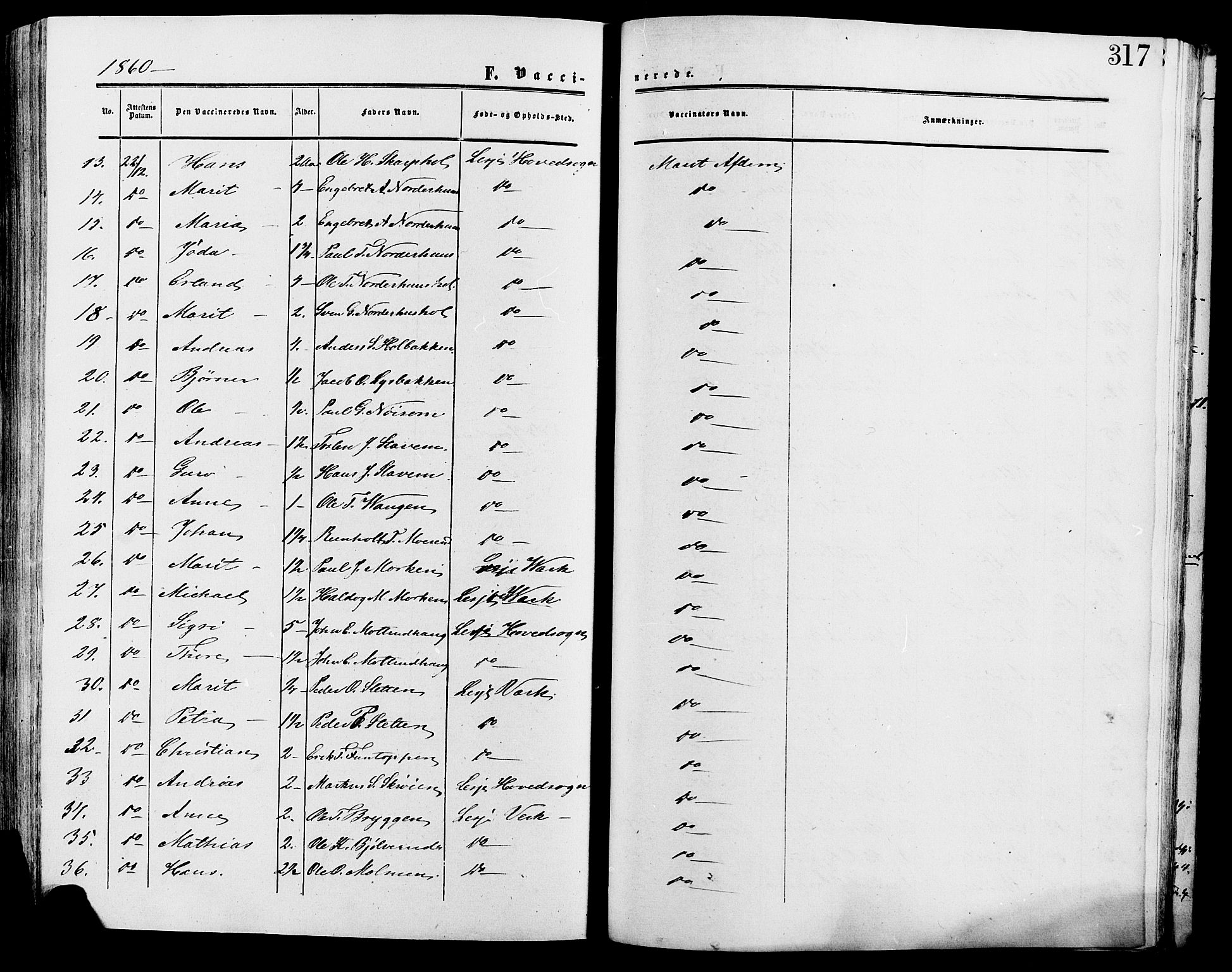Lesja prestekontor, SAH/PREST-068/H/Ha/Haa/L0009: Parish register (official) no. 9, 1854-1889, p. 317