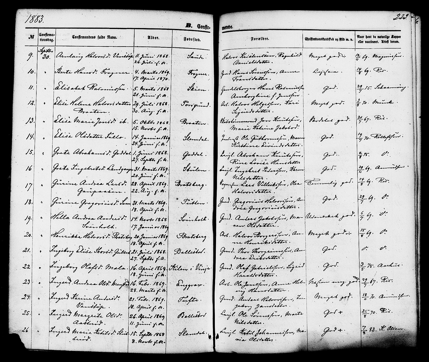 Gjerpen kirkebøker, AV/SAKO-A-265/F/Fa/L0009: Parish register (official) no. I 9, 1872-1885, p. 223