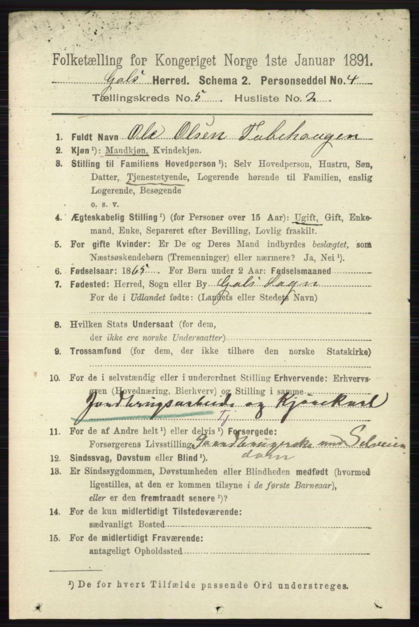 RA, 1891 census for 0617 Gol og Hemsedal, 1891, p. 2315