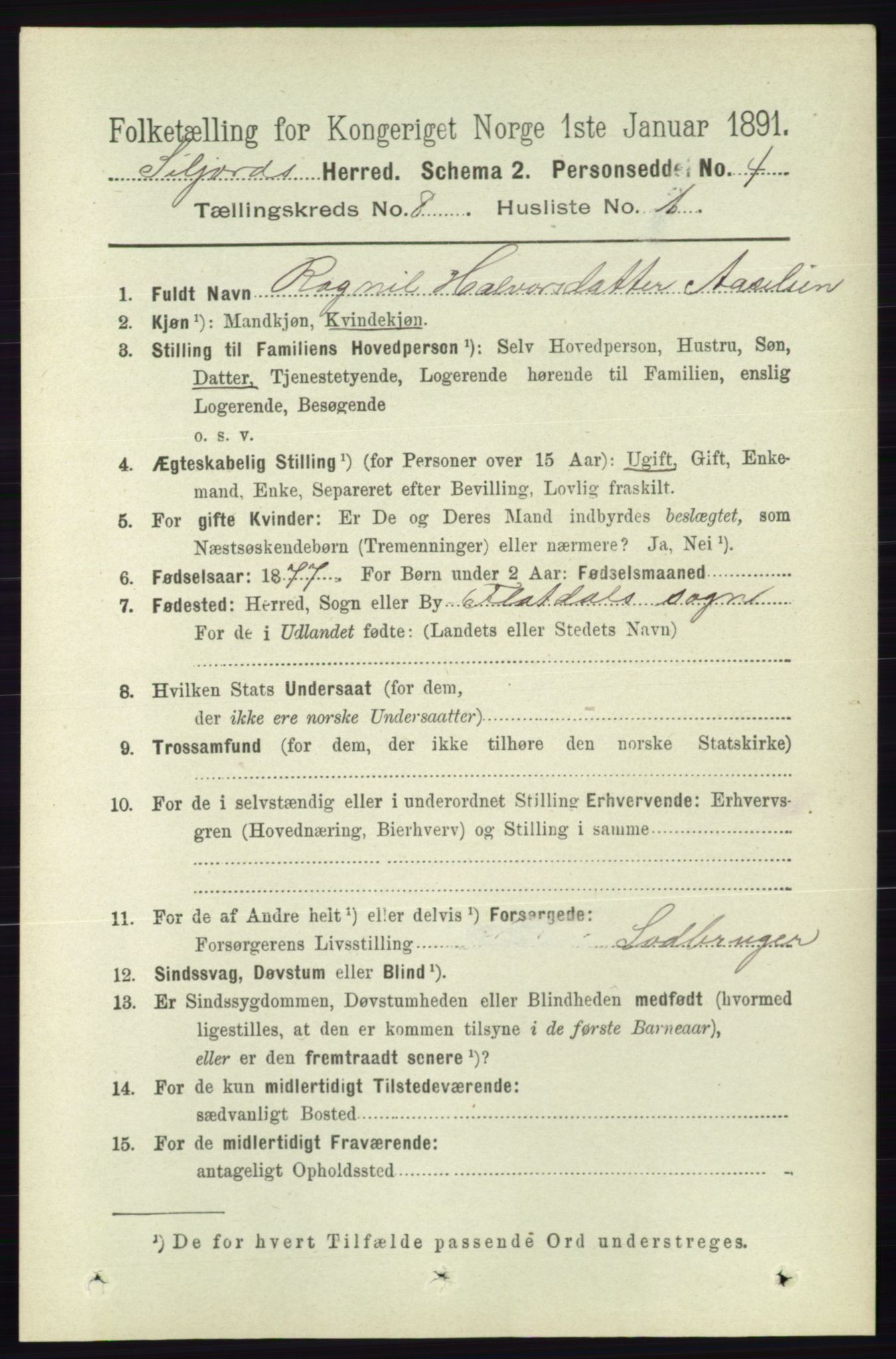 RA, 1891 census for 0828 Seljord, 1891, p. 2879