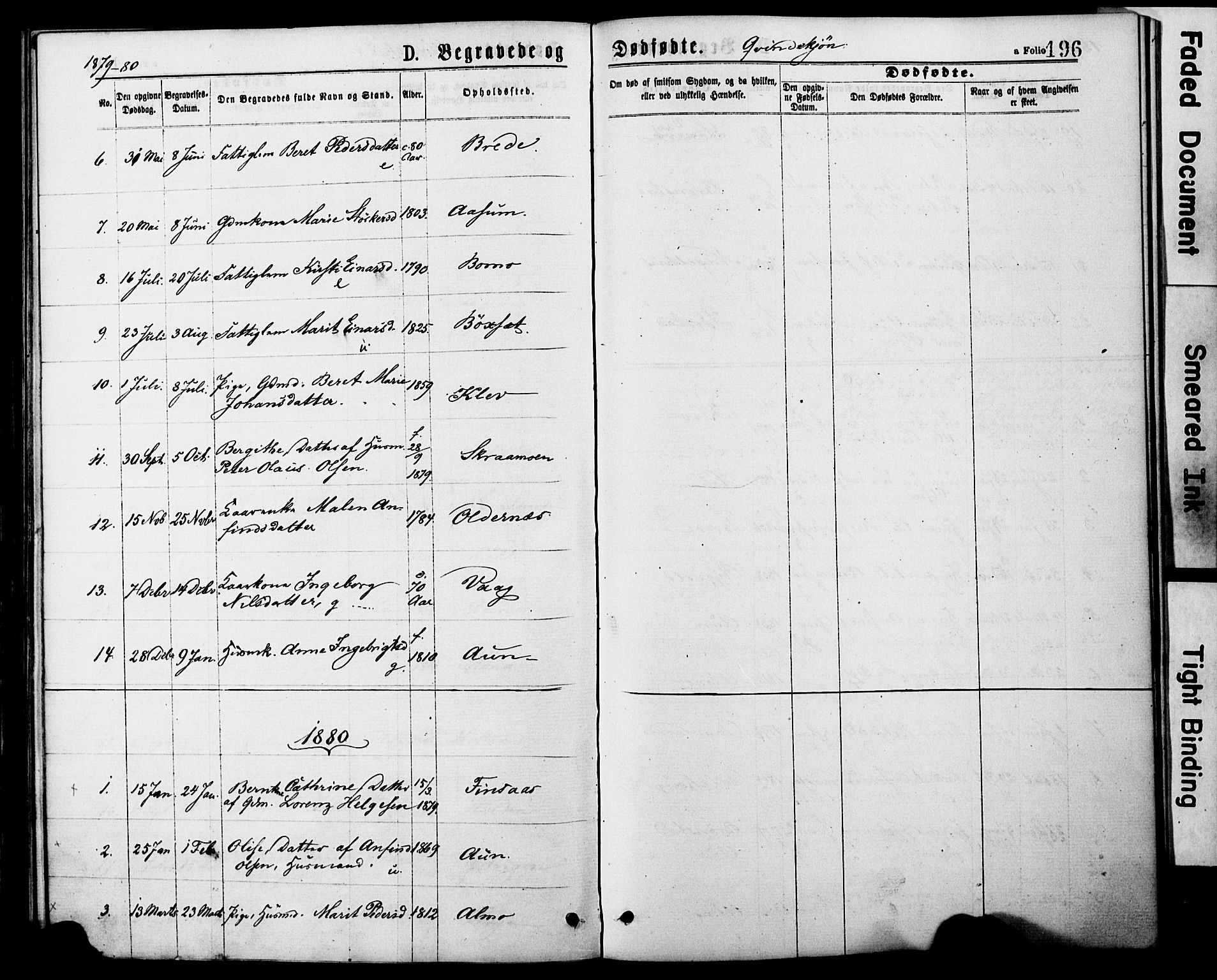 Ministerialprotokoller, klokkerbøker og fødselsregistre - Nord-Trøndelag, SAT/A-1458/749/L0473: Parish register (official) no. 749A07, 1873-1887, p. 196