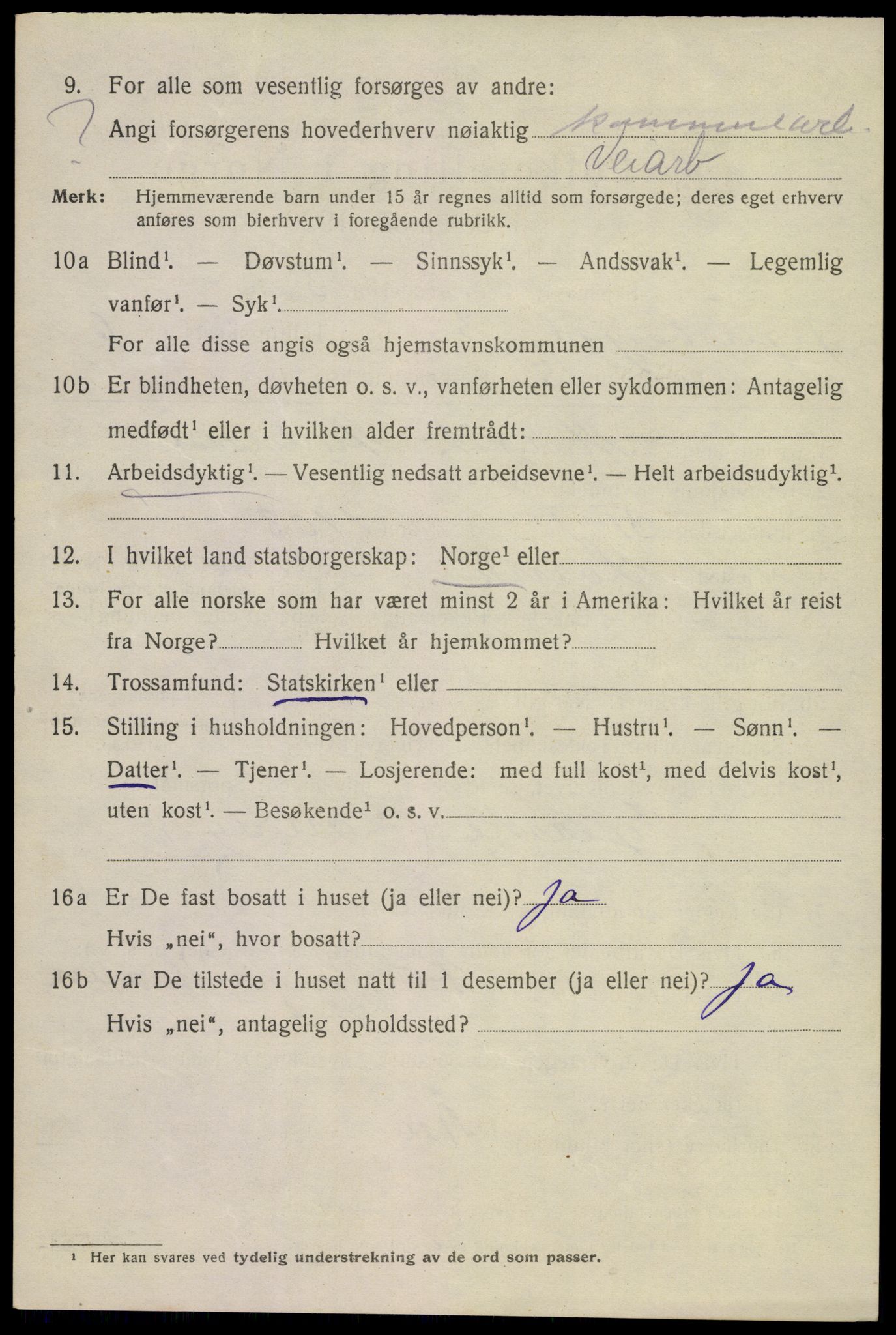 SAKO, 1920 census for Larvik, 1920, p. 18251