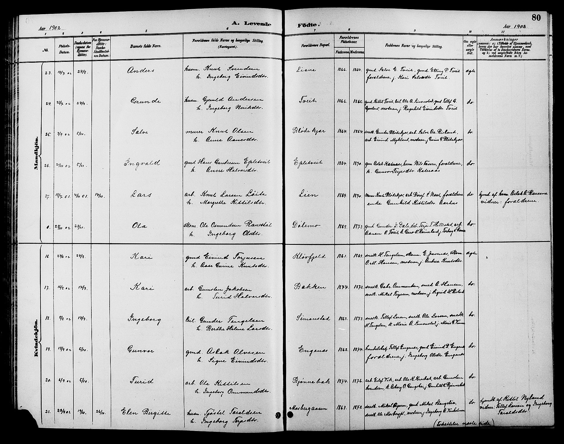 Åmli sokneprestkontor, SAK/1111-0050/F/Fb/Fbc/L0004: Parish register (copy) no. B 4, 1889-1902, p. 80