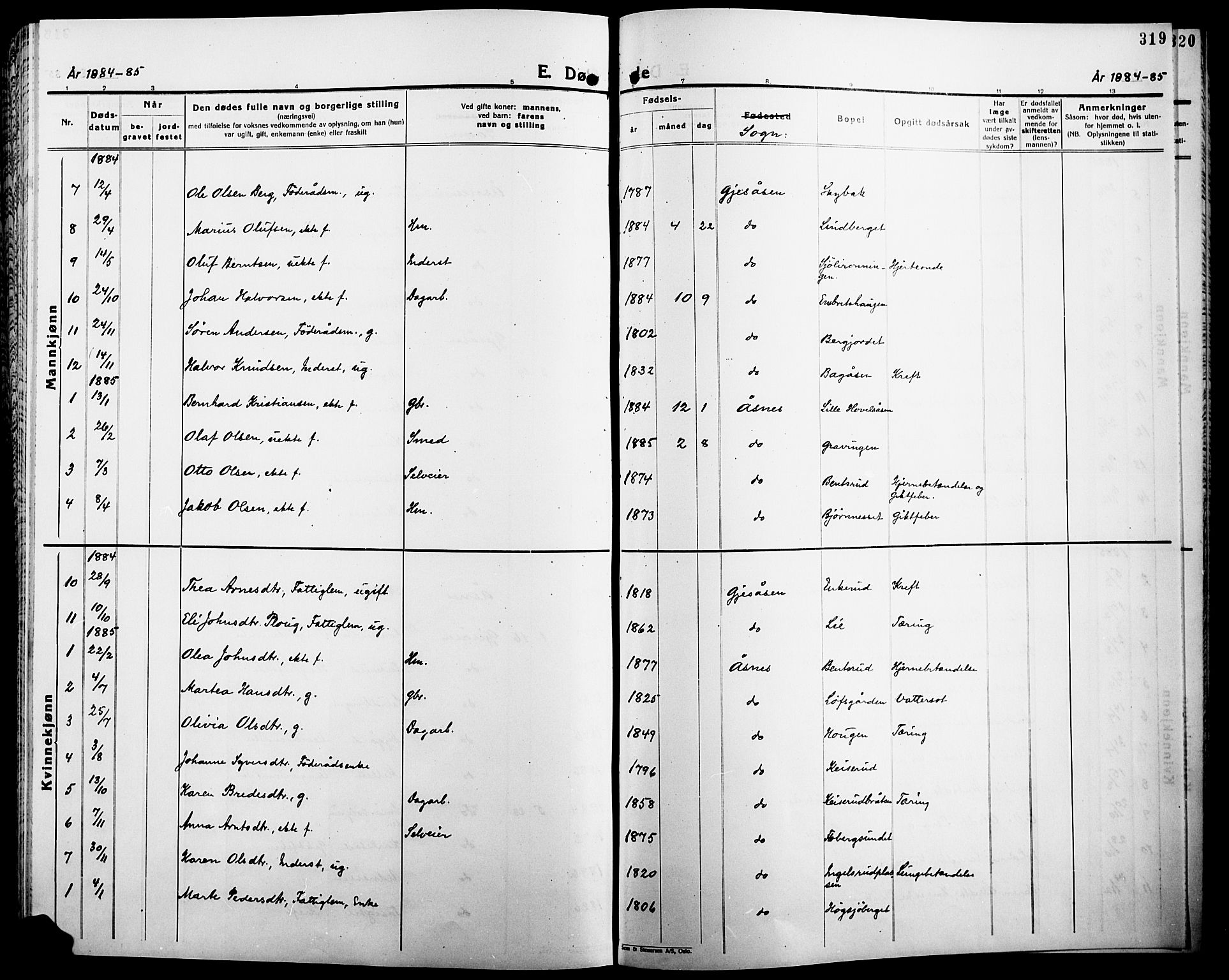 Åsnes prestekontor, AV/SAH-PREST-042/H/Ha/Haa/L0000B: Parish register (official), 1870-1889, p. 319