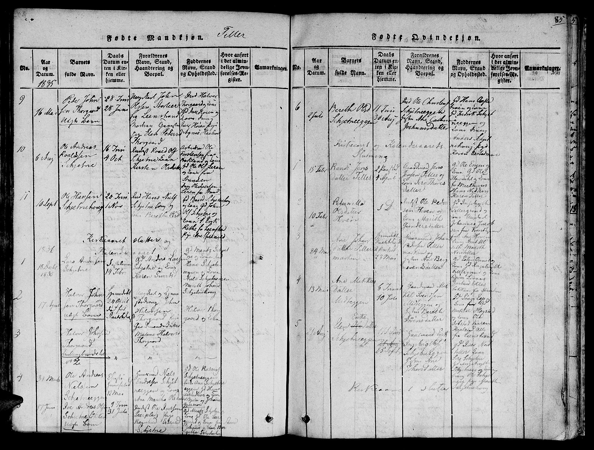 Ministerialprotokoller, klokkerbøker og fødselsregistre - Sør-Trøndelag, SAT/A-1456/618/L0440: Parish register (official) no. 618A04 /2, 1816-1843, p. 85