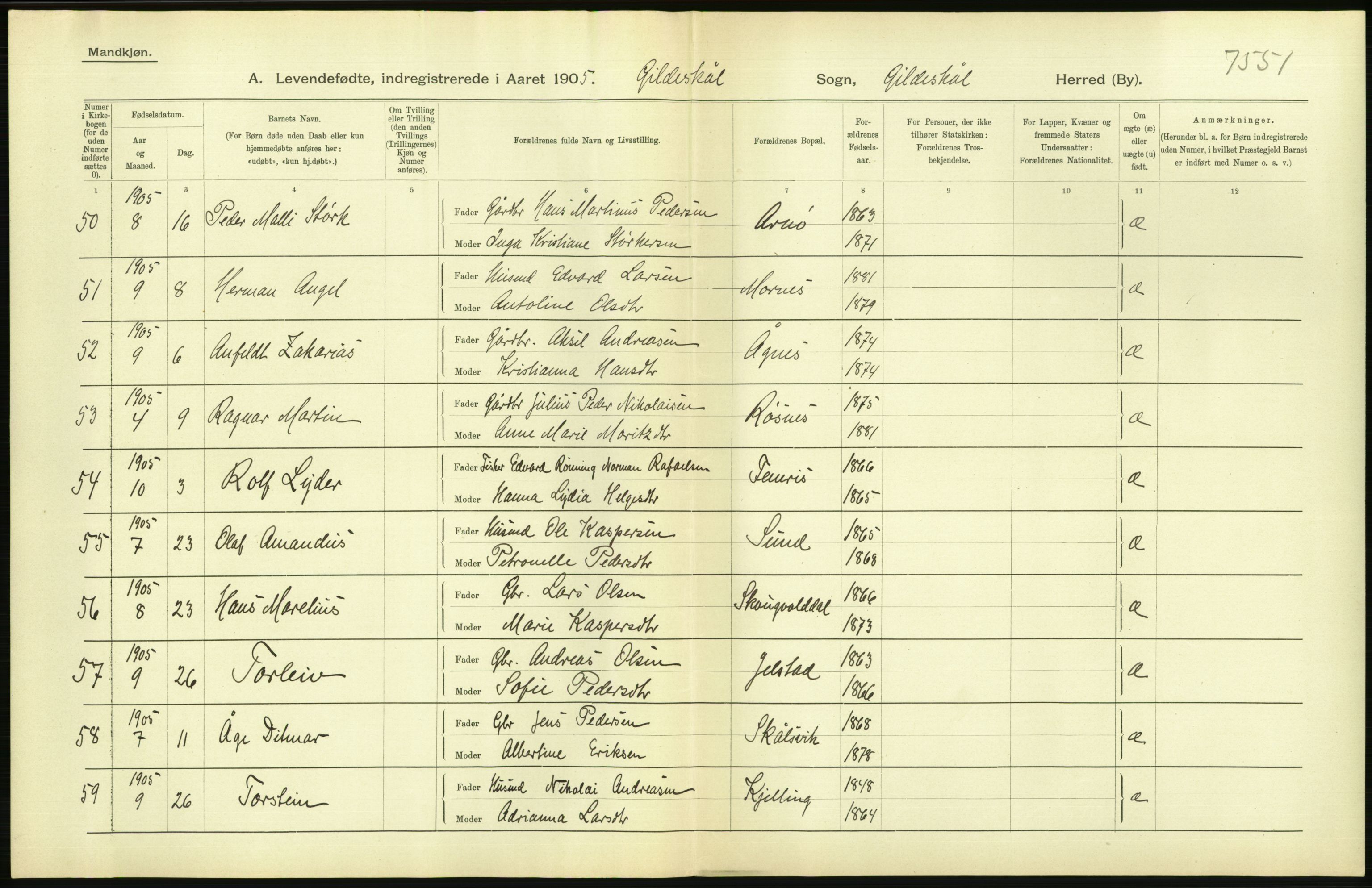 Statistisk sentralbyrå, Sosiodemografiske emner, Befolkning, AV/RA-S-2228/D/Df/Dfa/Dfac/L0037: Nordlands amt: Levendefødte menn og kvinner. Bygder, 1905, p. 12