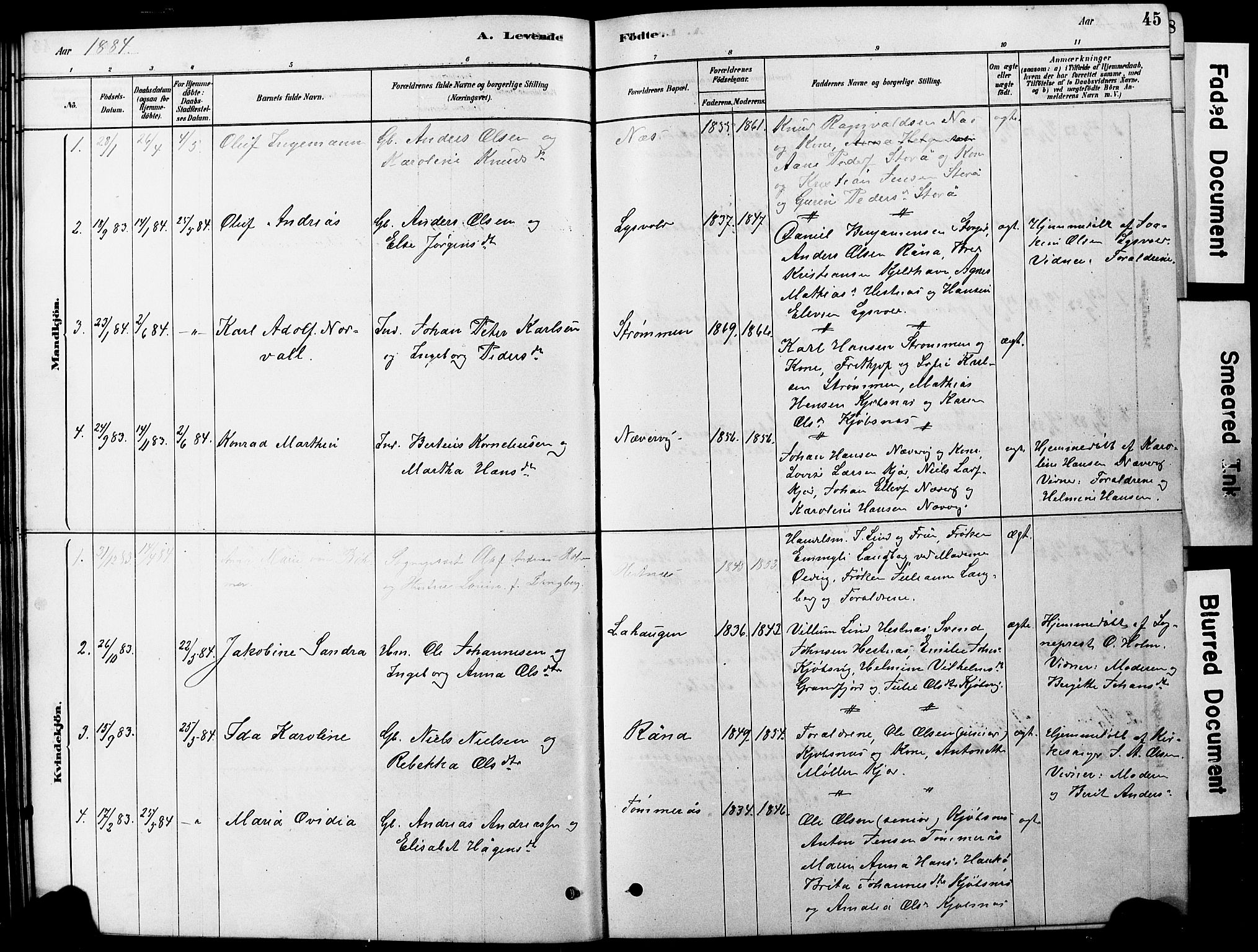 Ministerialprotokoller, klokkerbøker og fødselsregistre - Nordland, SAT/A-1459/861/L0875: Parish register (copy) no. 861C01, 1879-1887, p. 45