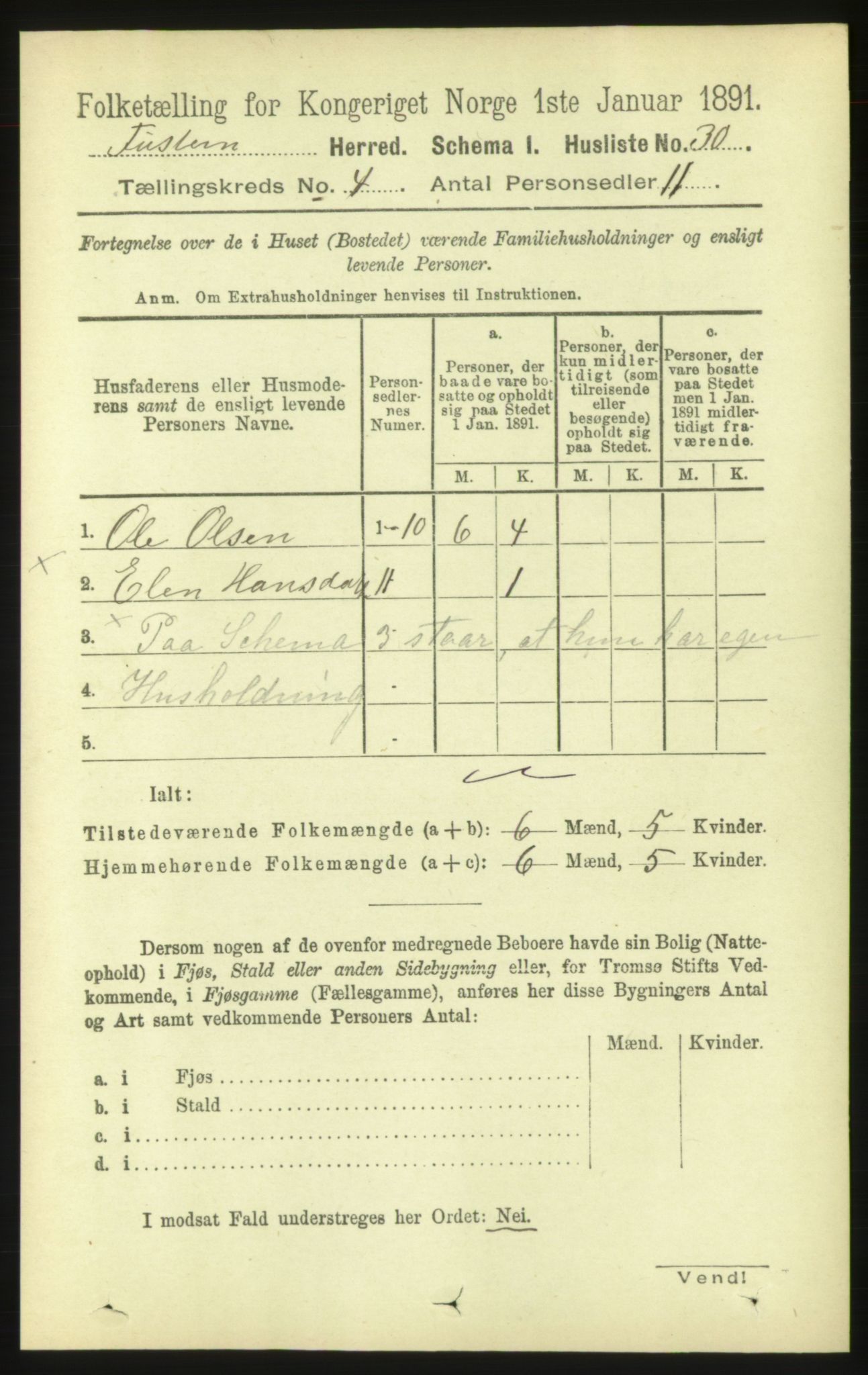 RA, 1891 census for 1572 Tustna, 1891, p. 1376