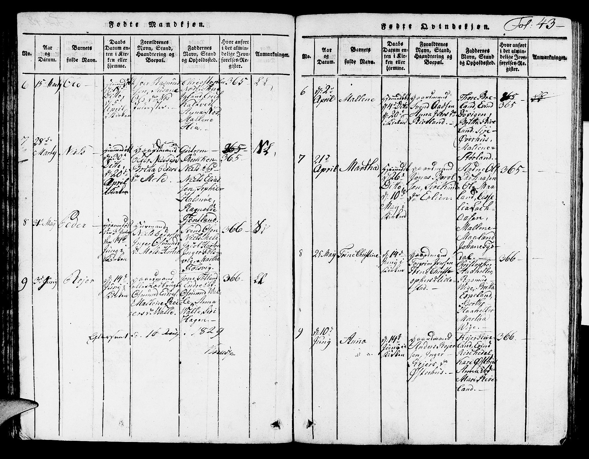 Hjelmeland sokneprestkontor, SAST/A-101843/01/V/L0002: Parish register (copy) no. B 2, 1816-1841, p. 43