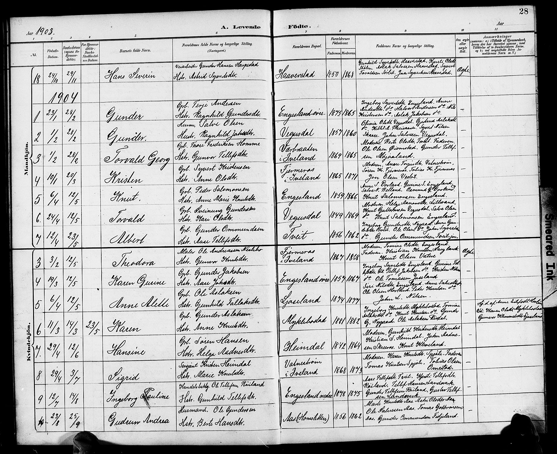 Herefoss sokneprestkontor, AV/SAK-1111-0019/F/Fb/Fbb/L0003: Parish register (copy) no. B 3, 1892-1917, p. 28