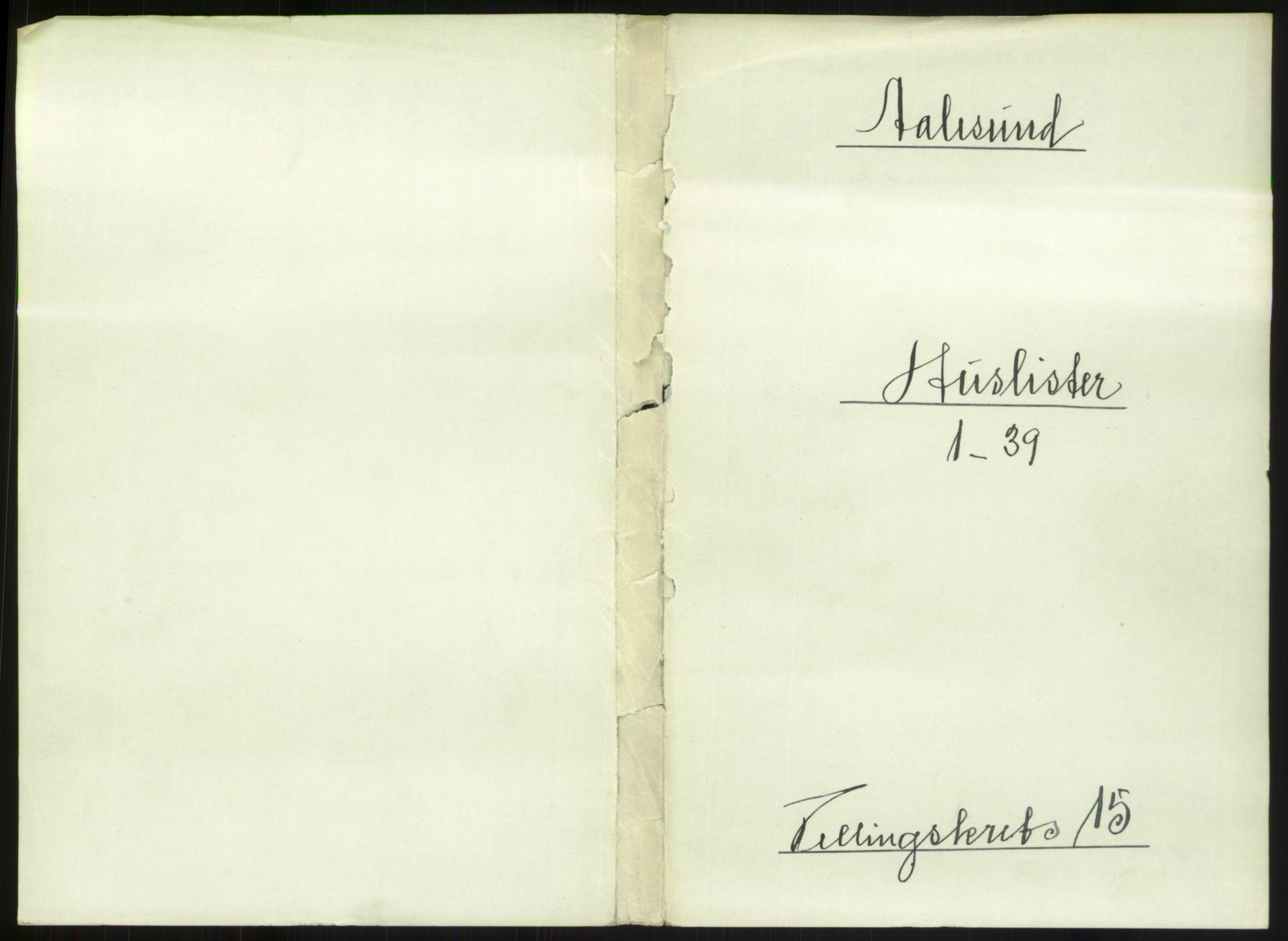 RA, 1891 census for 1501 Ålesund, 1891, p. 1020