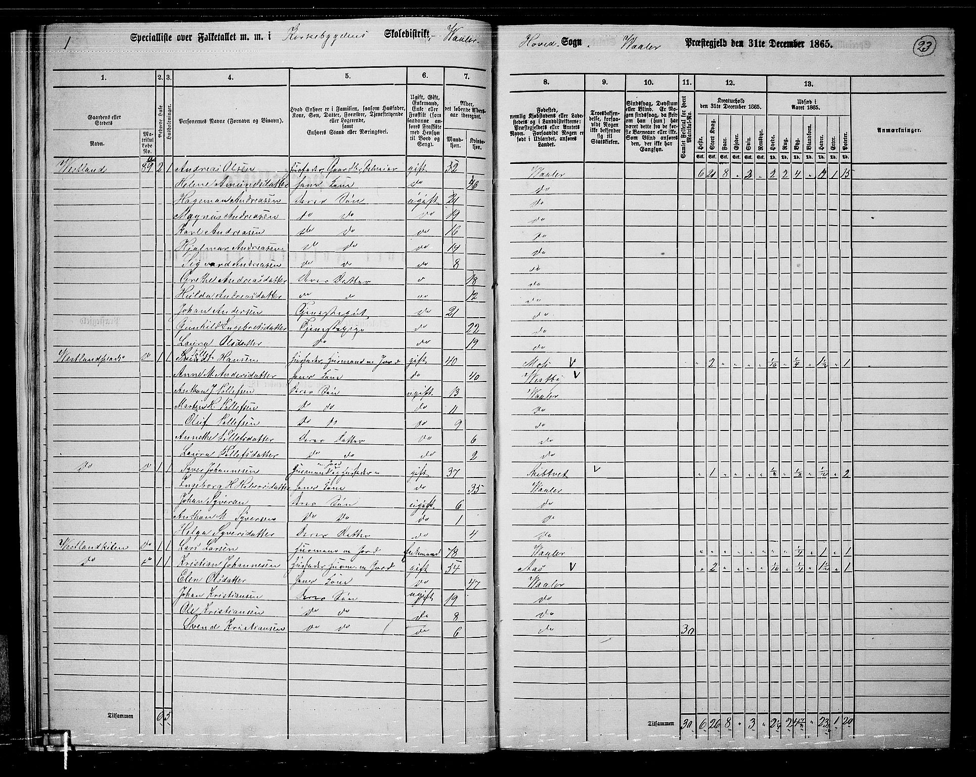 RA, 1865 census for Våler, 1865, p. 24