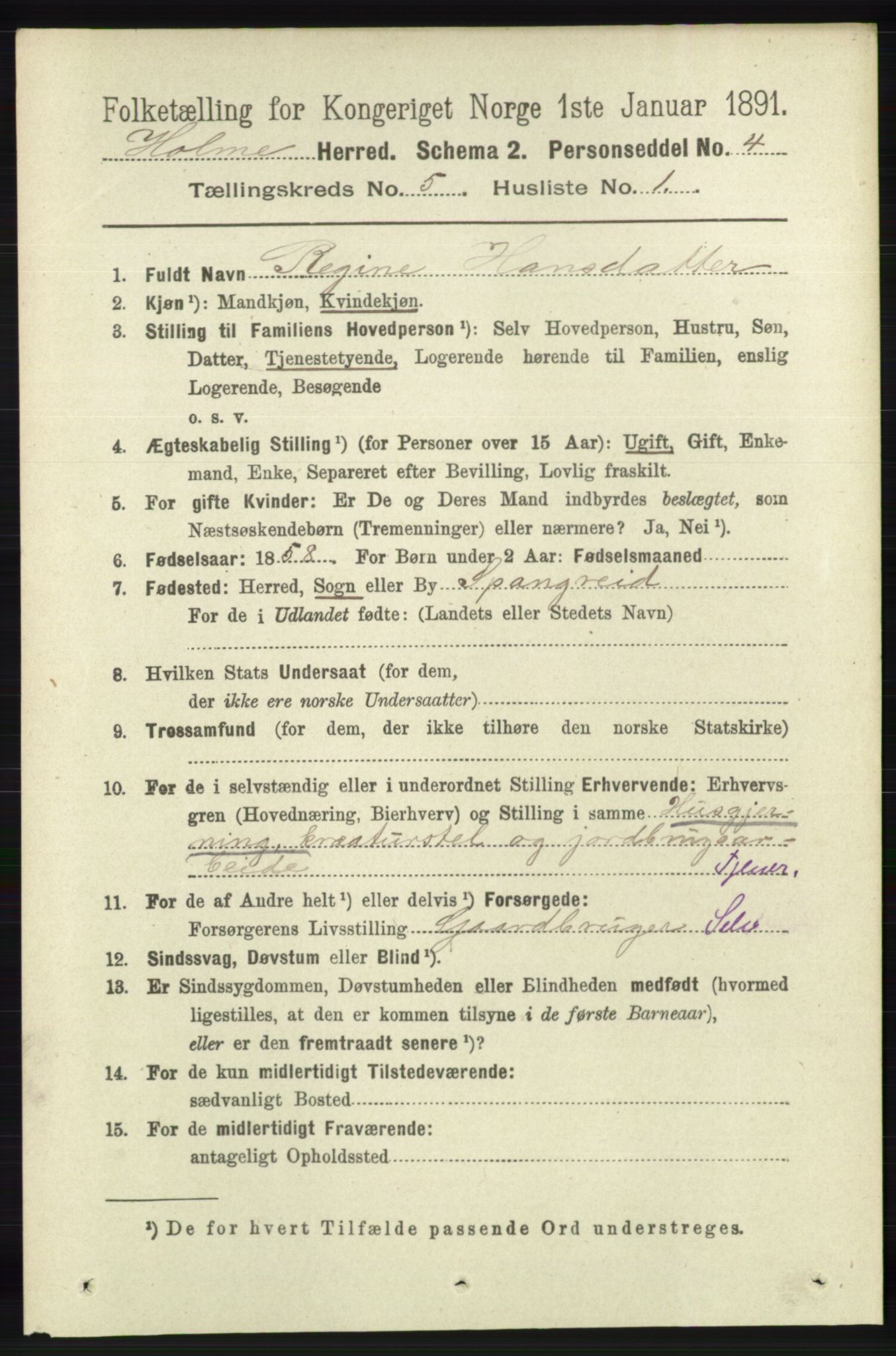 RA, 1891 census for 1020 Holum, 1891, p. 1239