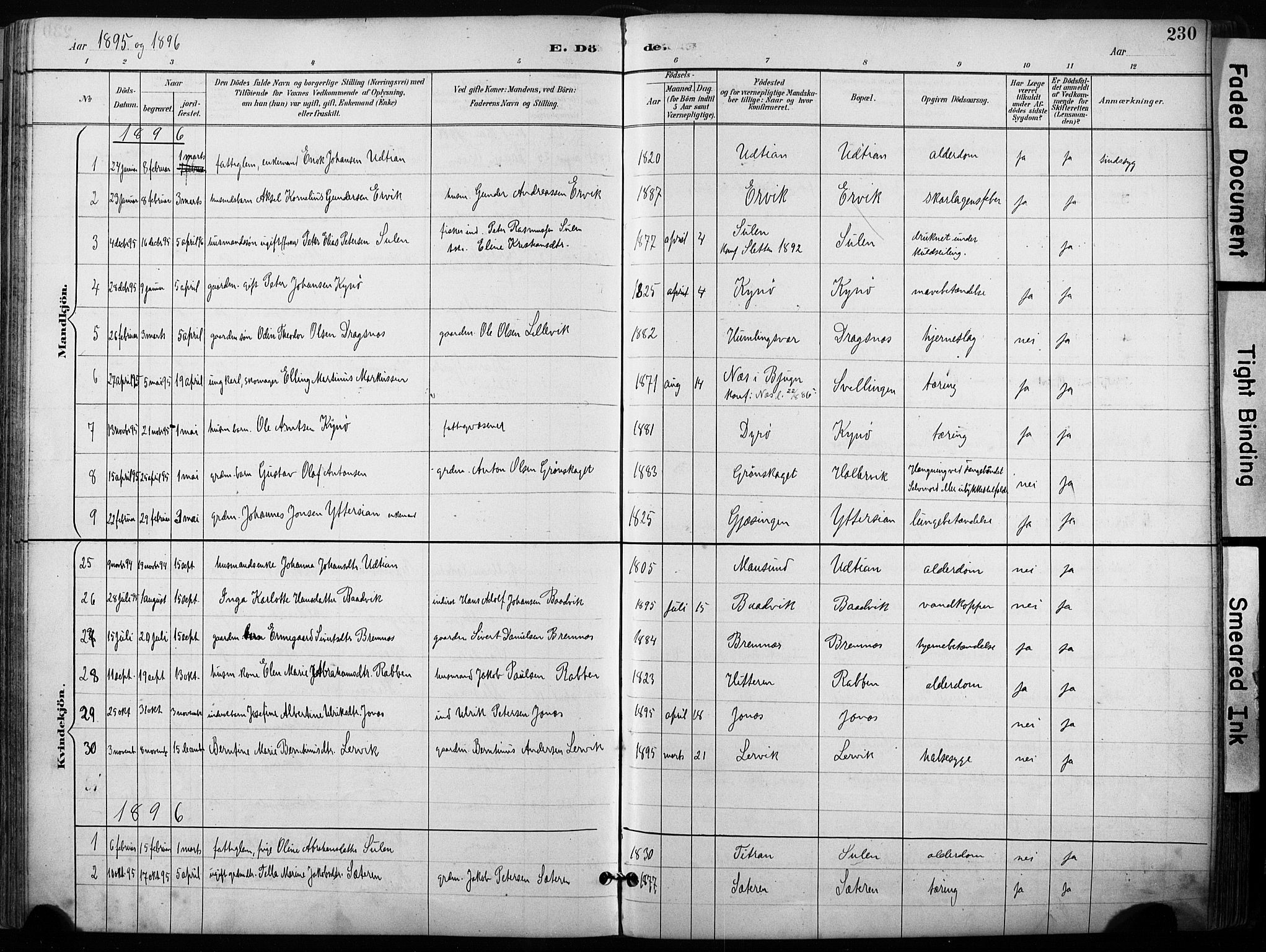 Ministerialprotokoller, klokkerbøker og fødselsregistre - Sør-Trøndelag, SAT/A-1456/640/L0579: Parish register (official) no. 640A04, 1889-1902, p. 230