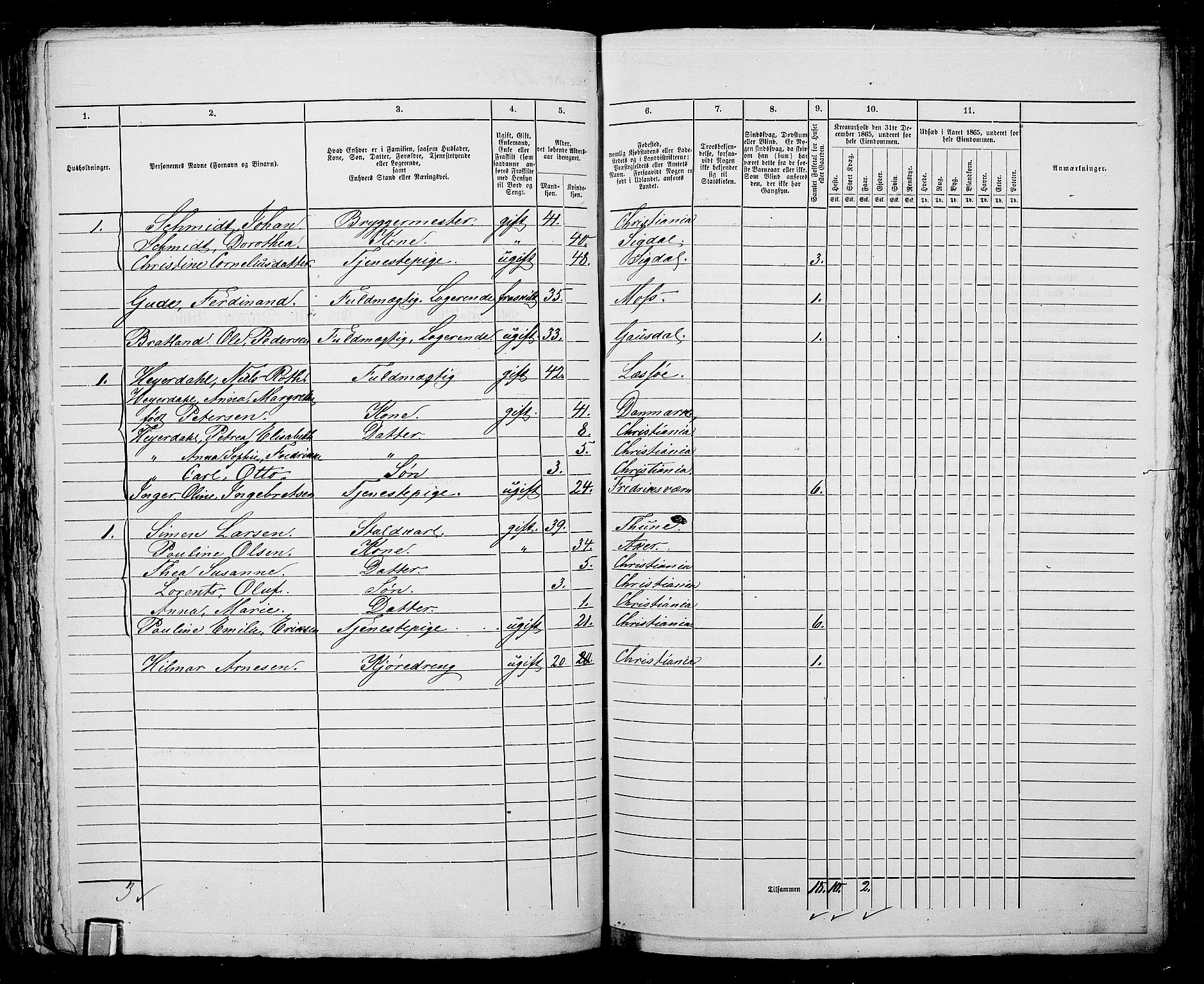 RA, 1865 census for Kristiania, 1865, p. 5213