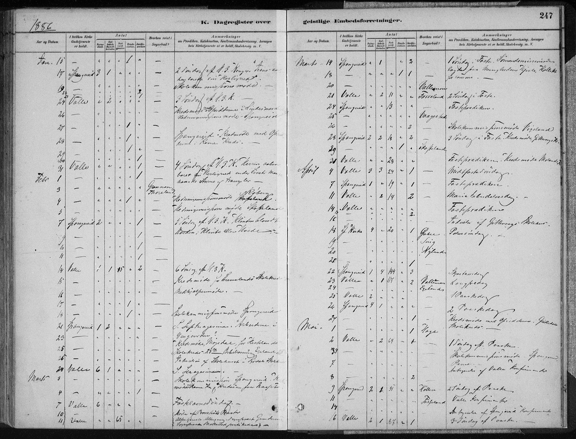 Sør-Audnedal sokneprestkontor, AV/SAK-1111-0039/F/Fa/Fab/L0009: Parish register (official) no. A 9, 1880-1895, p. 247