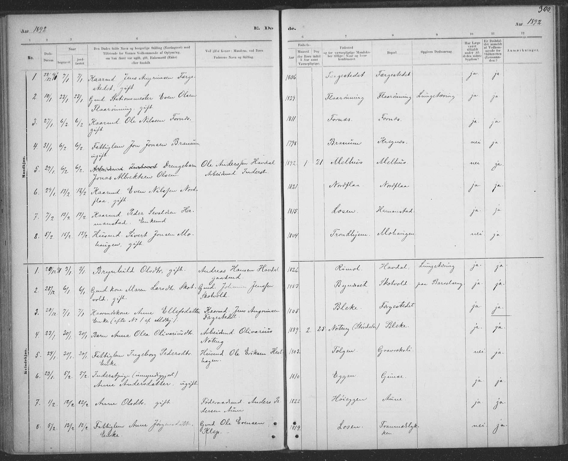 Ministerialprotokoller, klokkerbøker og fødselsregistre - Sør-Trøndelag, SAT/A-1456/691/L1085: Parish register (official) no. 691A17, 1887-1908, p. 300