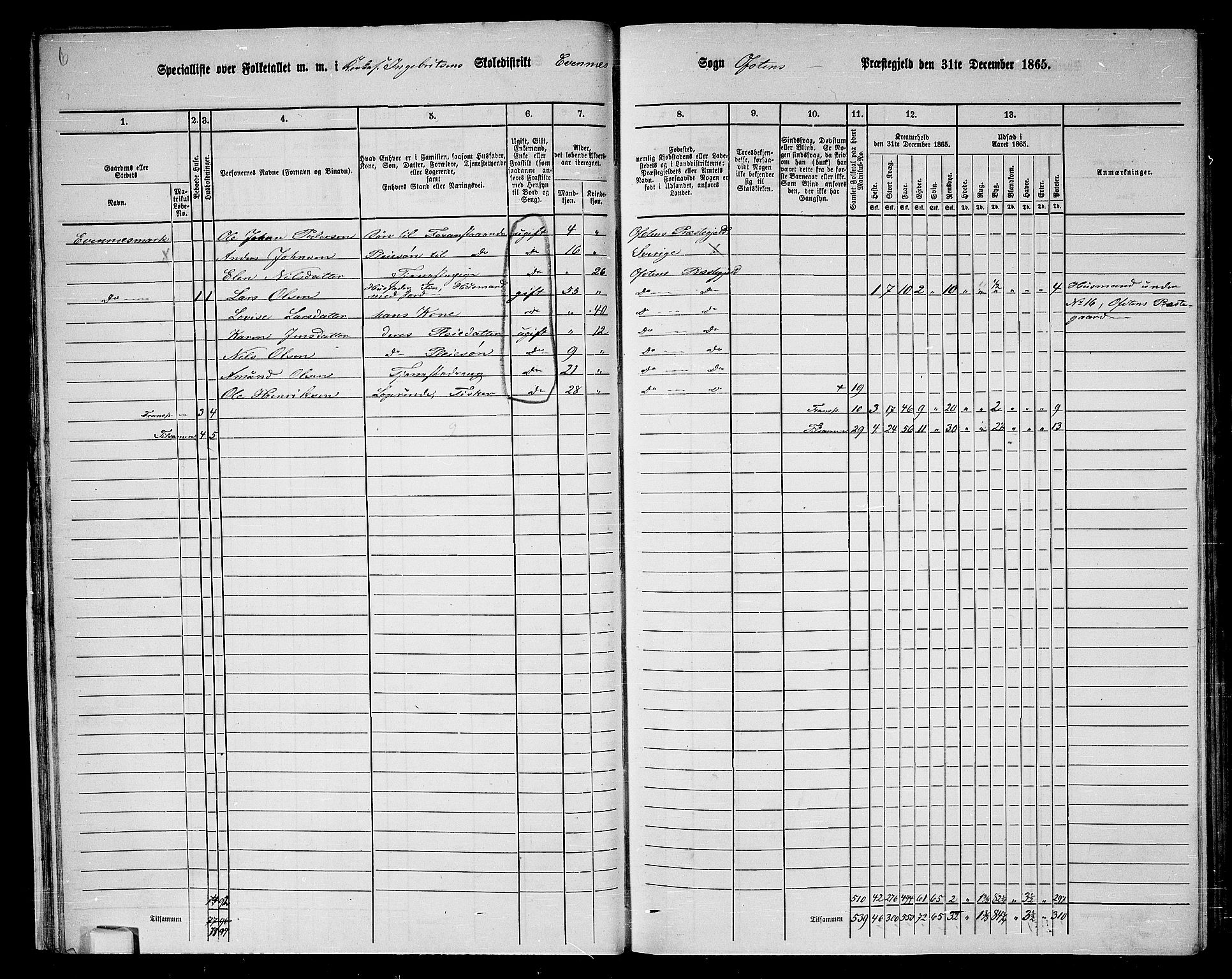 RA, 1865 census for Ofoten, 1865, p. 31