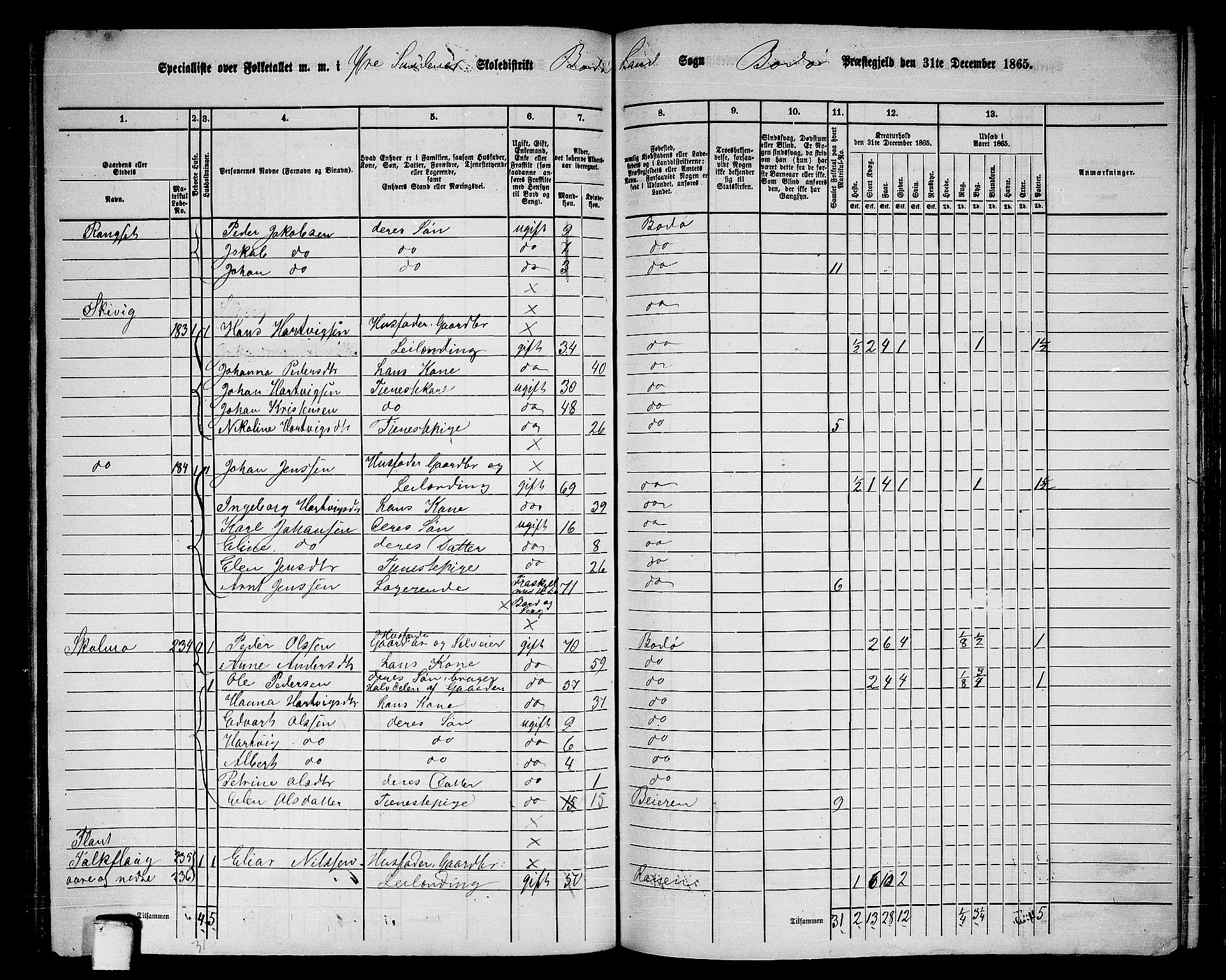 RA, 1865 census for Bodø/Bodø, 1865, p. 100