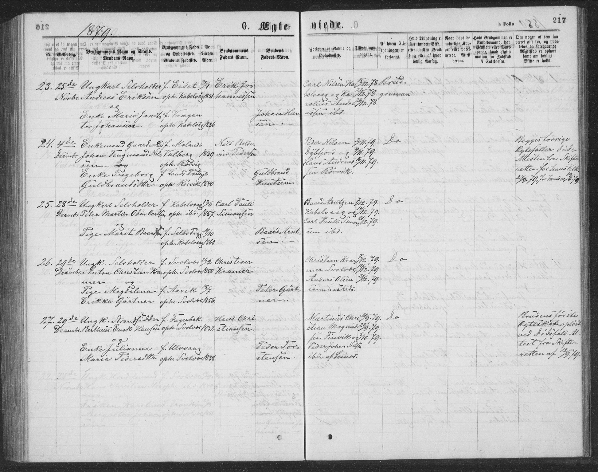 Ministerialprotokoller, klokkerbøker og fødselsregistre - Nordland, AV/SAT-A-1459/874/L1075: Parish register (copy) no. 874C04, 1876-1883, p. 217