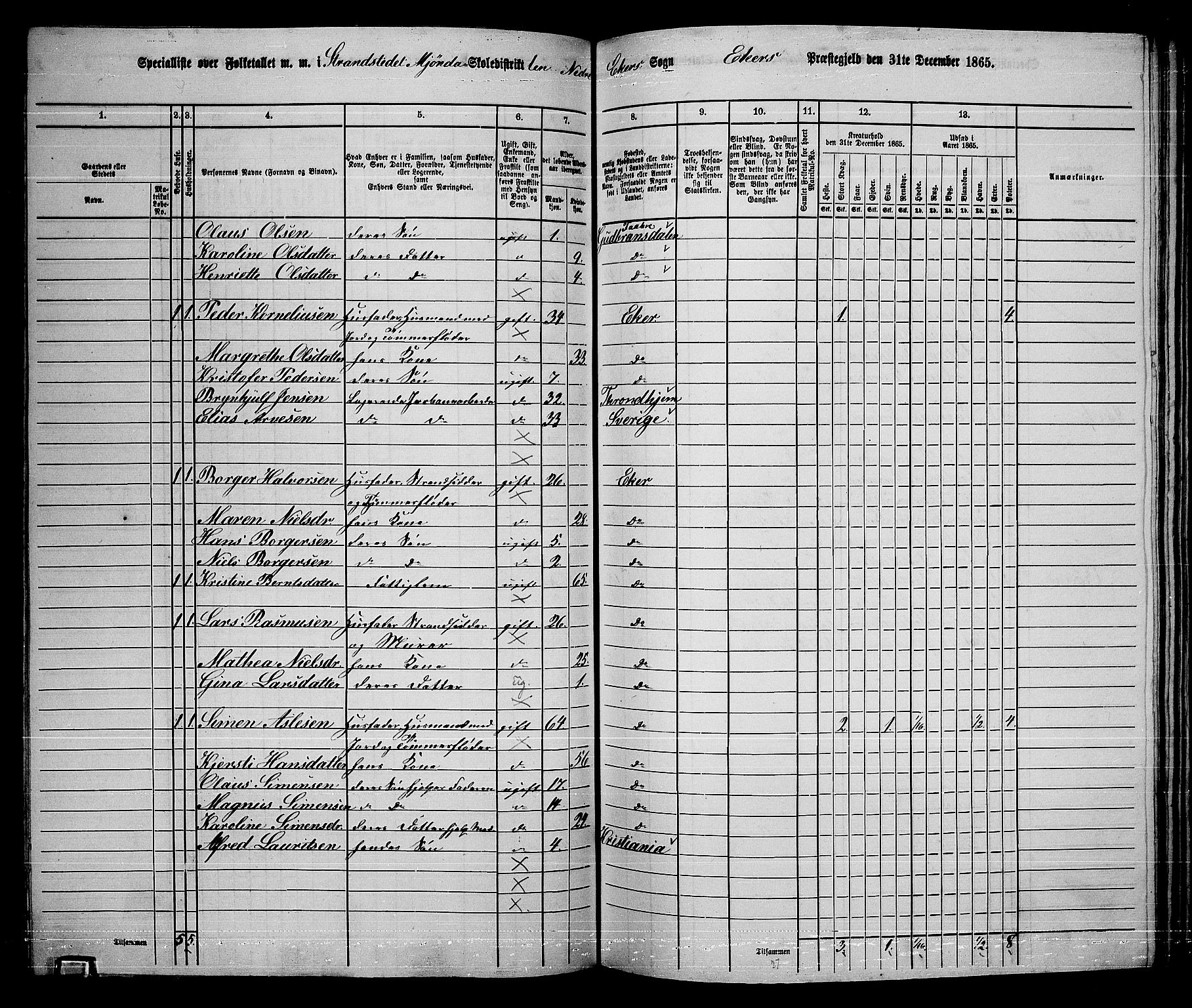 RA, 1865 census for Eiker, 1865, p. 411