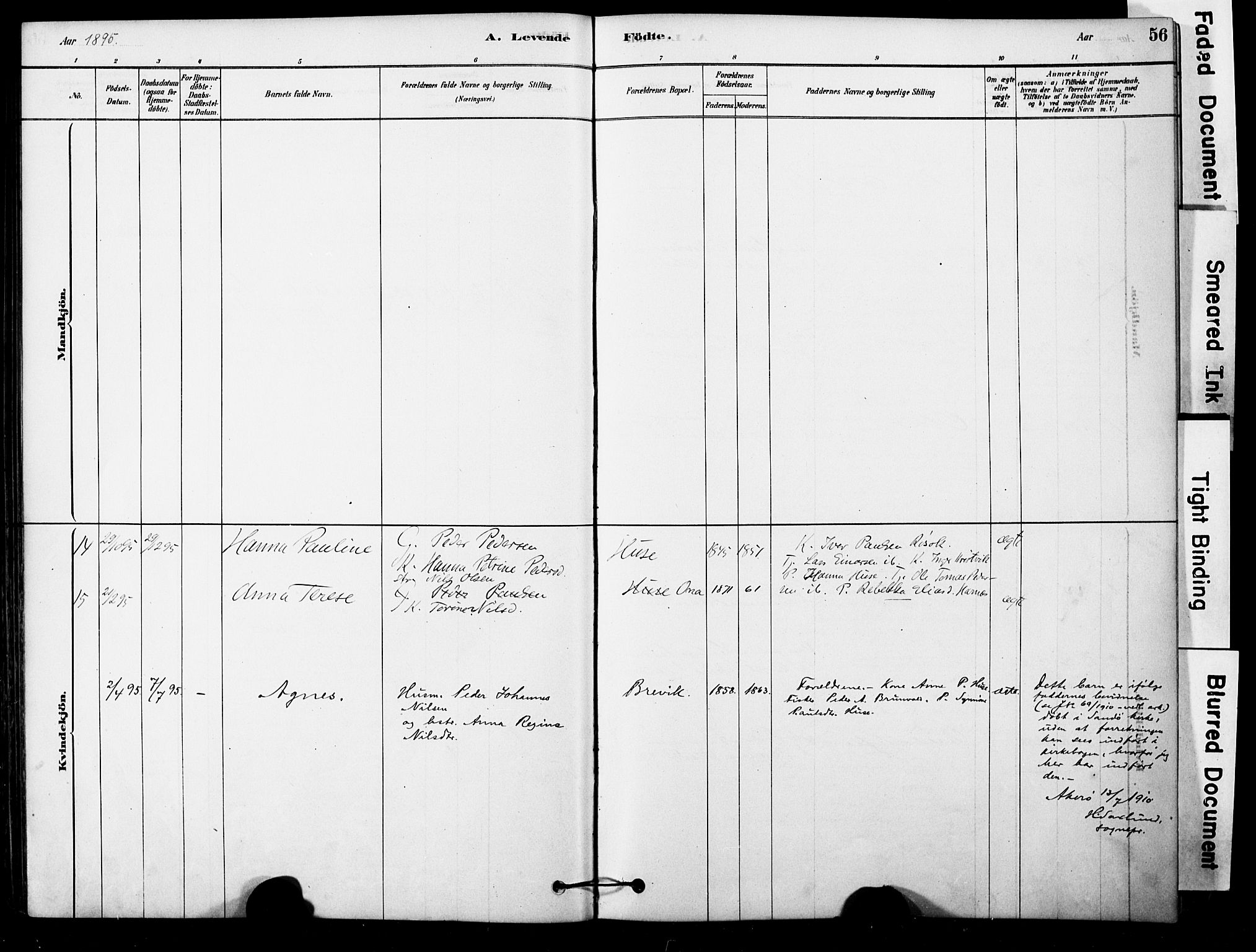 Ministerialprotokoller, klokkerbøker og fødselsregistre - Møre og Romsdal, AV/SAT-A-1454/561/L0729: Parish register (official) no. 561A03, 1878-1900, p. 56