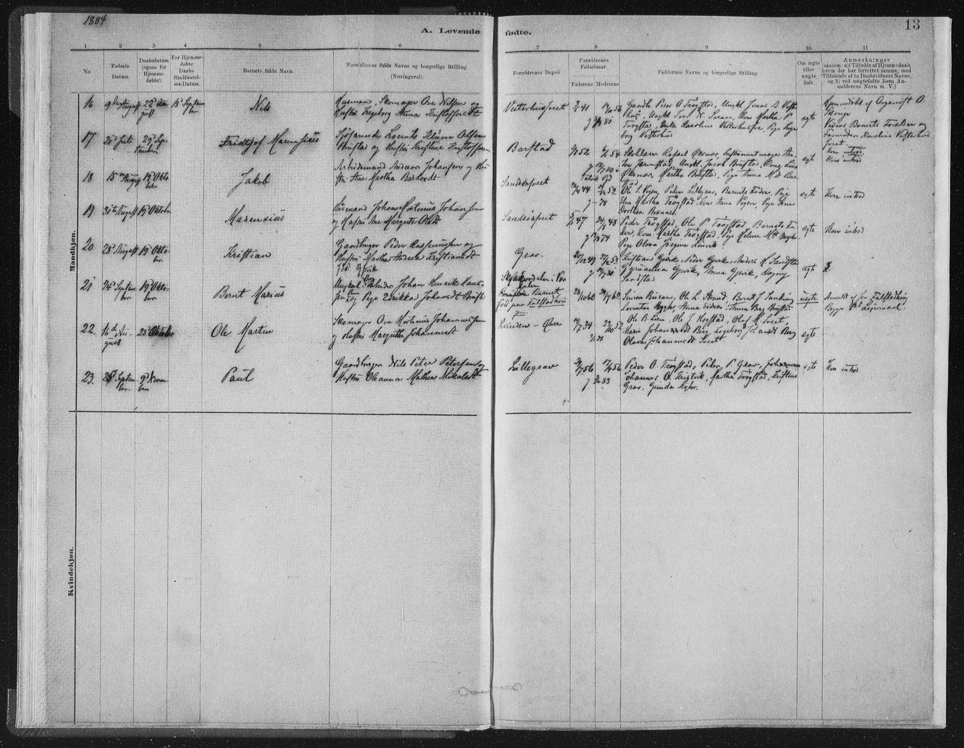 Ministerialprotokoller, klokkerbøker og fødselsregistre - Nord-Trøndelag, AV/SAT-A-1458/722/L0220: Parish register (official) no. 722A07, 1881-1908, p. 13