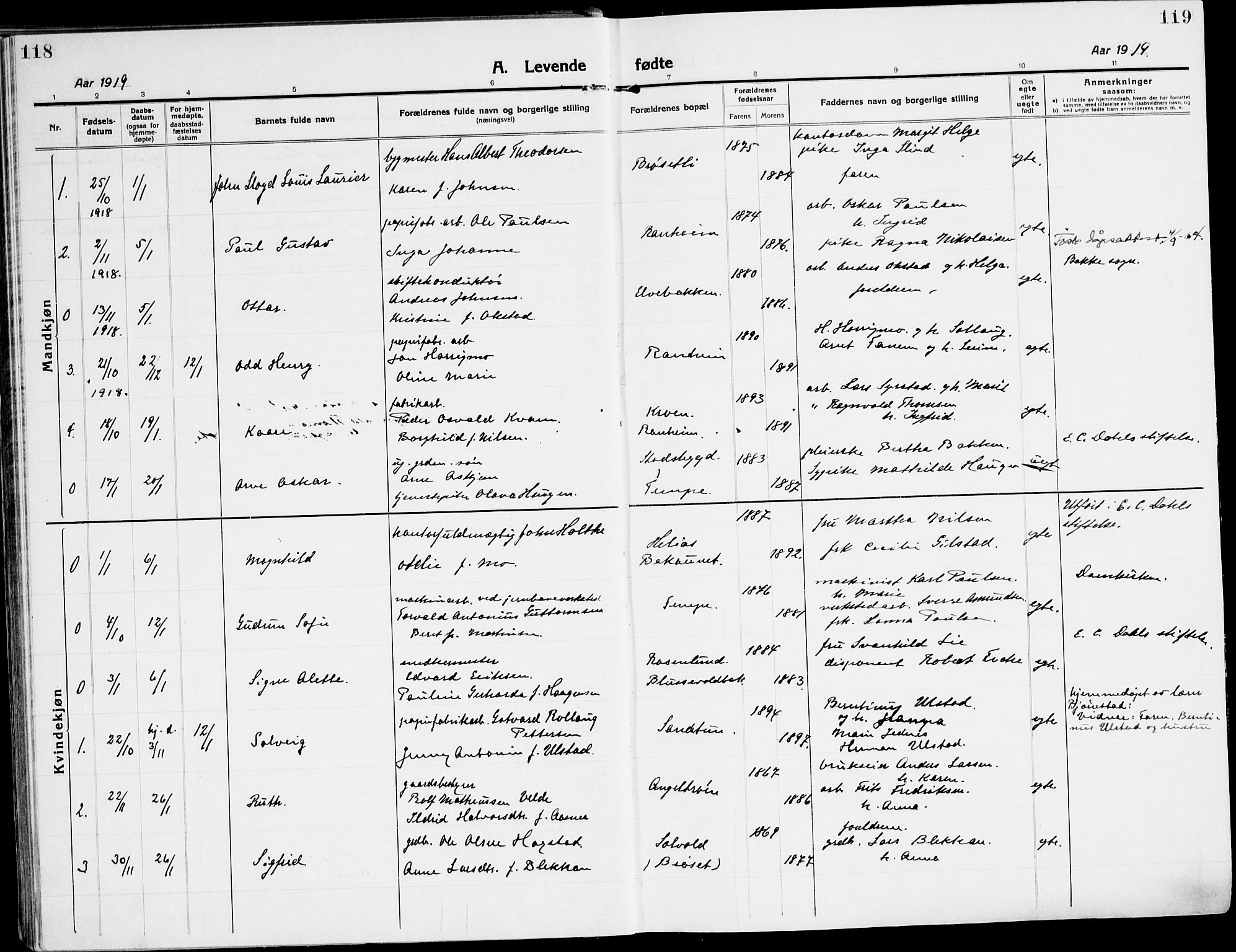 Ministerialprotokoller, klokkerbøker og fødselsregistre - Sør-Trøndelag, SAT/A-1456/607/L0321: Parish register (official) no. 607A05, 1916-1935, p. 118-119