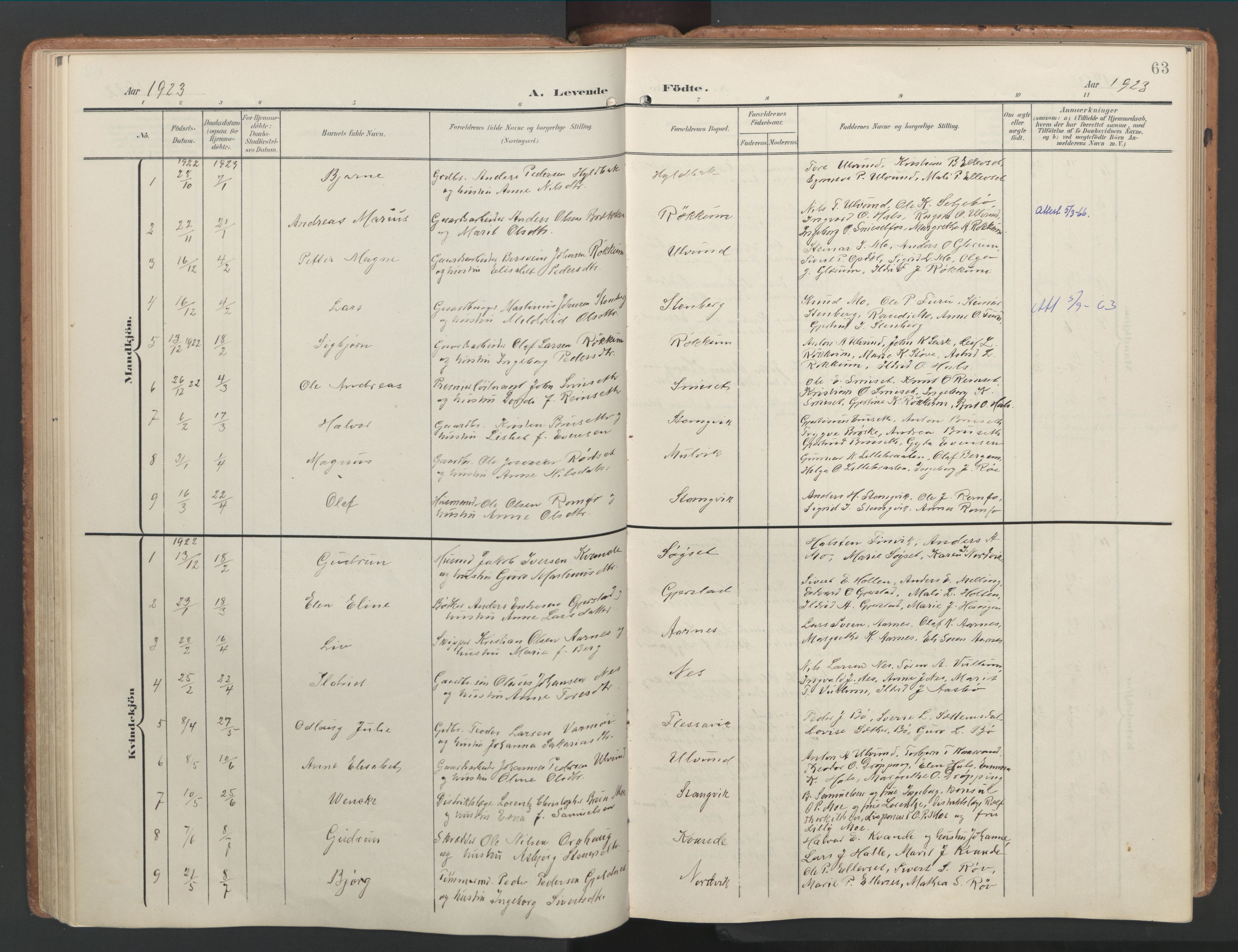 Ministerialprotokoller, klokkerbøker og fødselsregistre - Møre og Romsdal, AV/SAT-A-1454/592/L1030: Parish register (official) no. 592A08, 1901-1925, p. 63