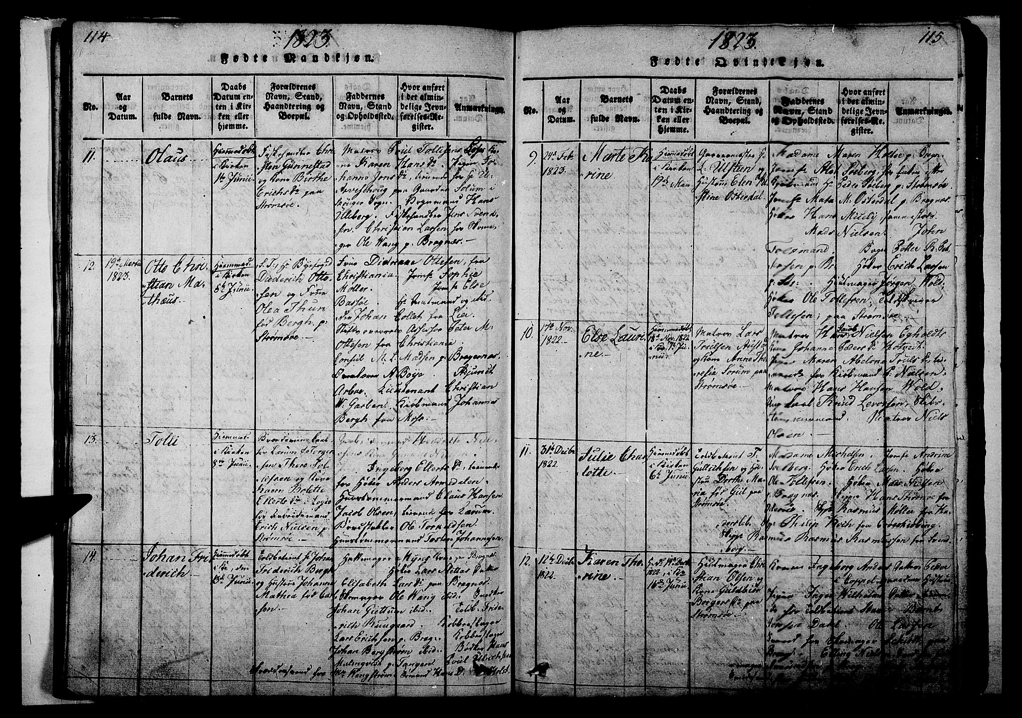 Strømsø kirkebøker, AV/SAKO-A-246/G/Ga/L0001: Parish register (copy) no. 1, 1815-1829, p. 114-115