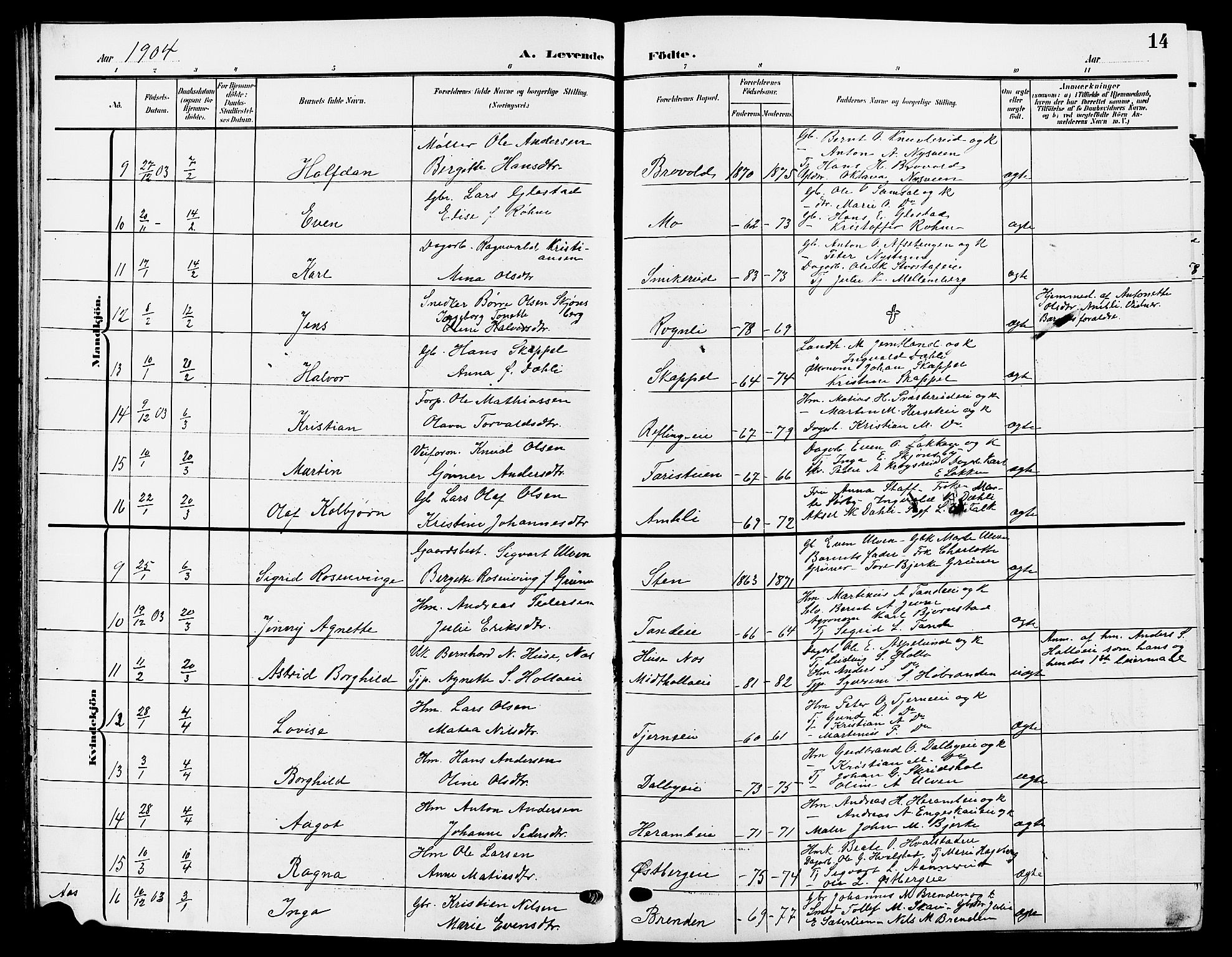 Ringsaker prestekontor, SAH/PREST-014/L/La/L0015: Parish register (copy) no. 15, 1903-1912, p. 14