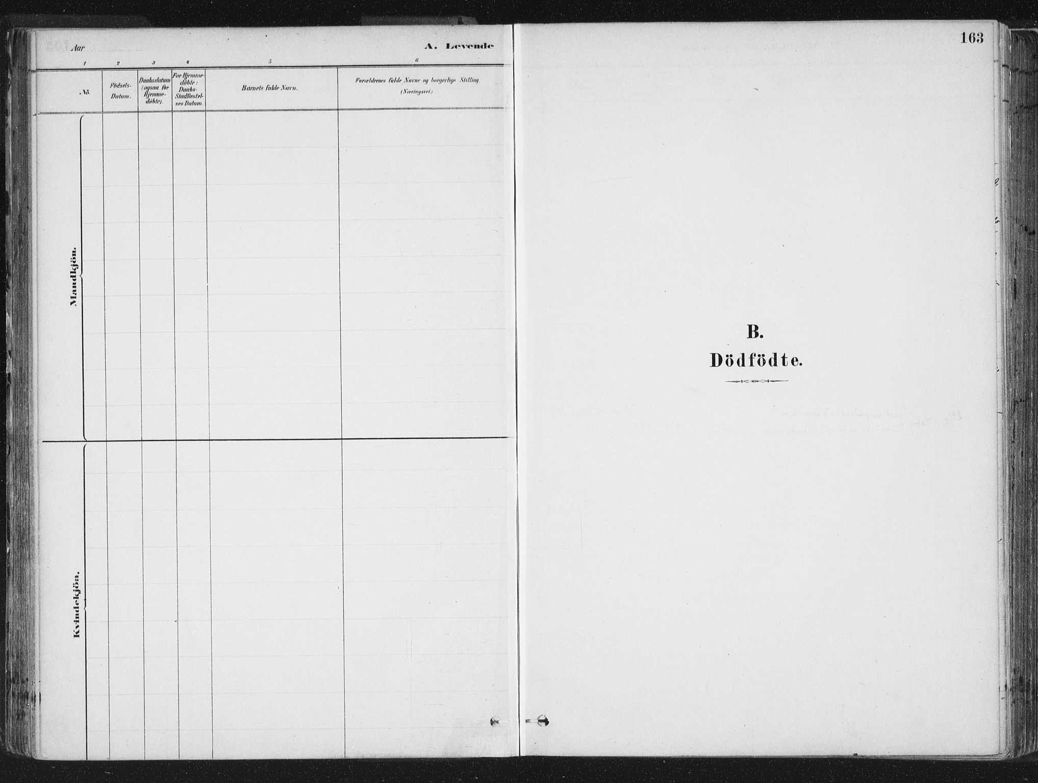 Ministerialprotokoller, klokkerbøker og fødselsregistre - Sør-Trøndelag, SAT/A-1456/659/L0739: Parish register (official) no. 659A09, 1879-1893, p. 163