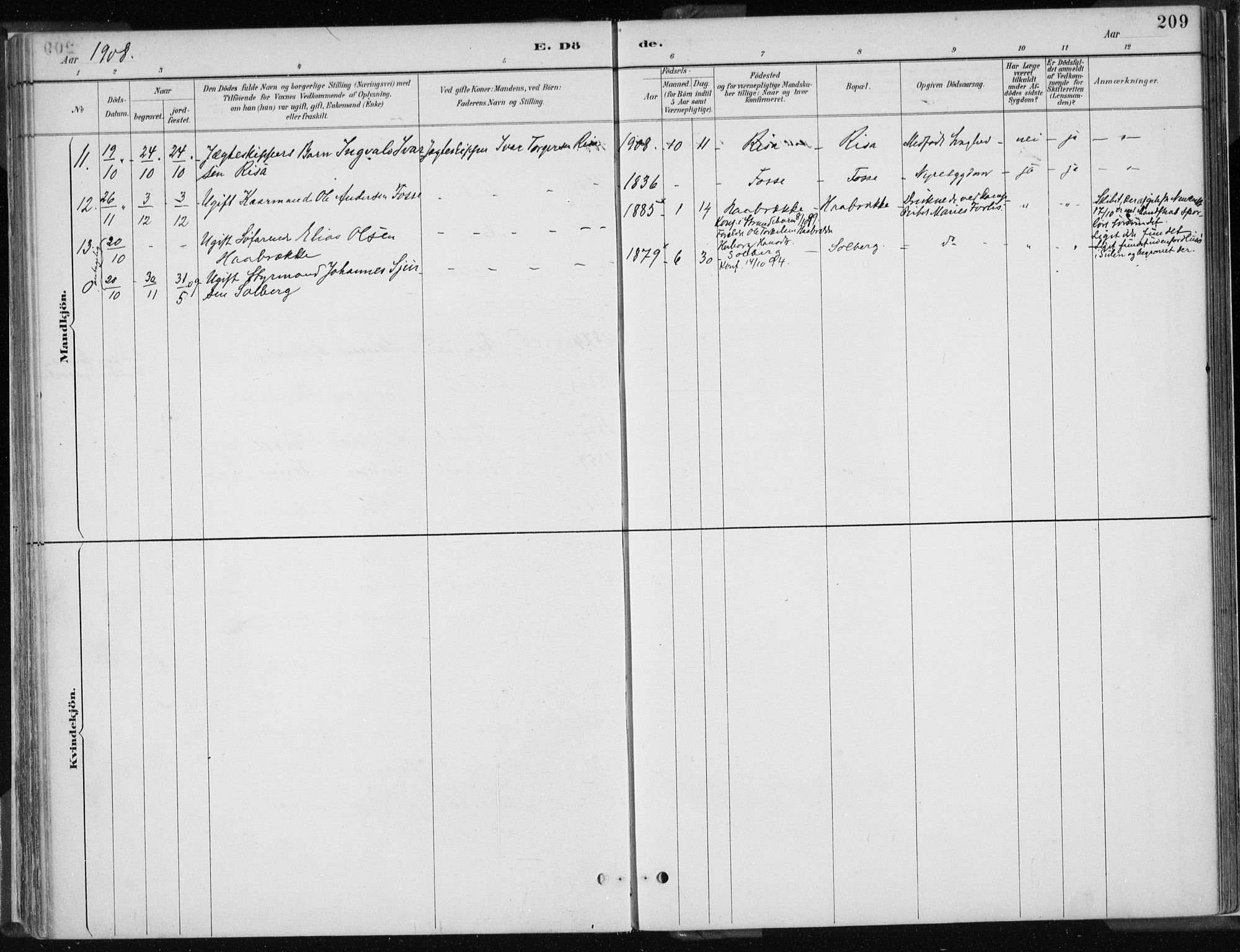 Strandebarm sokneprestembete, AV/SAB-A-78401/H/Haa: Parish register (official) no. B  1, 1886-1908, p. 209