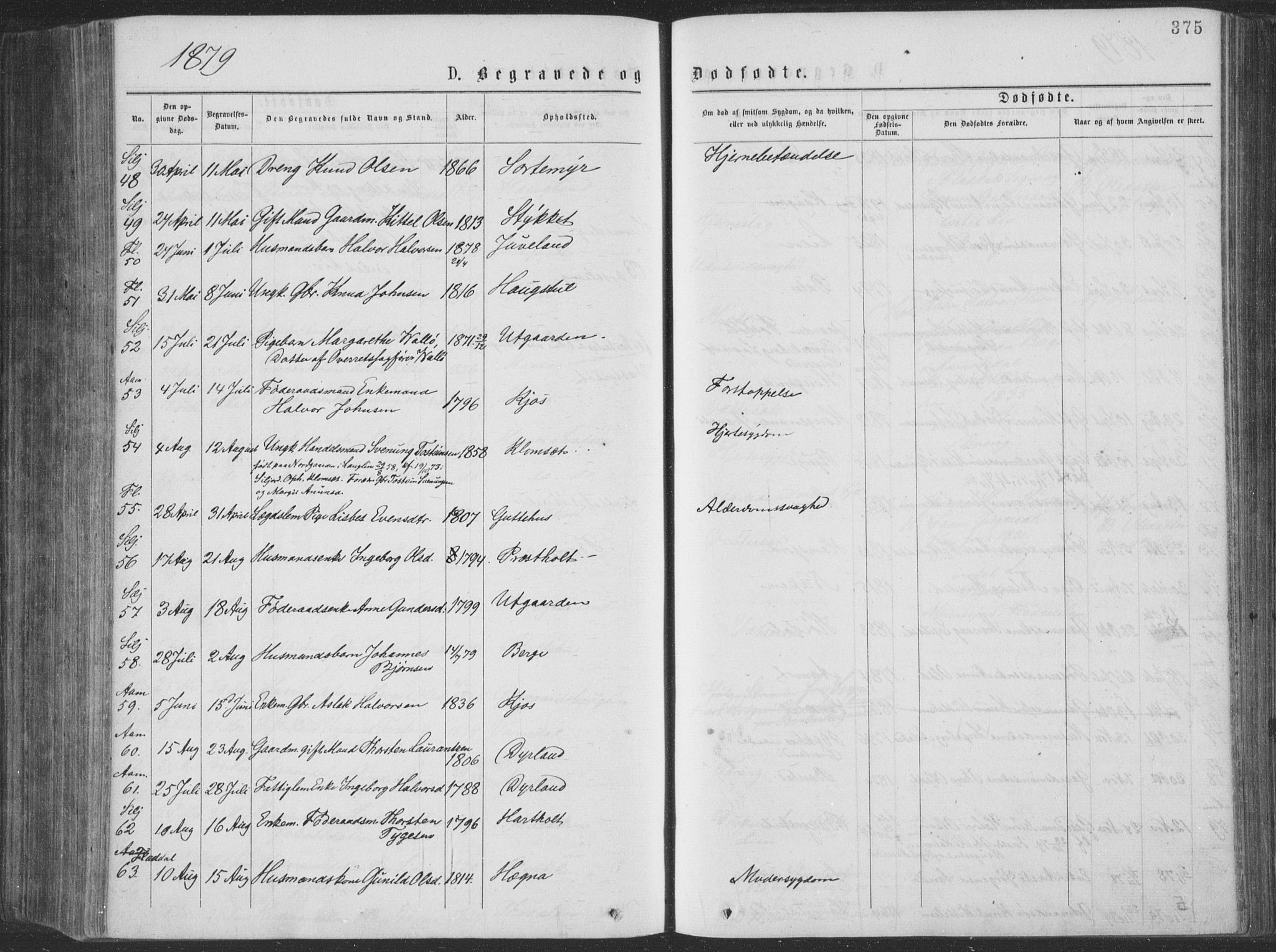 Seljord kirkebøker, AV/SAKO-A-20/F/Fa/L0014: Parish register (official) no. I 14, 1877-1886, p. 375