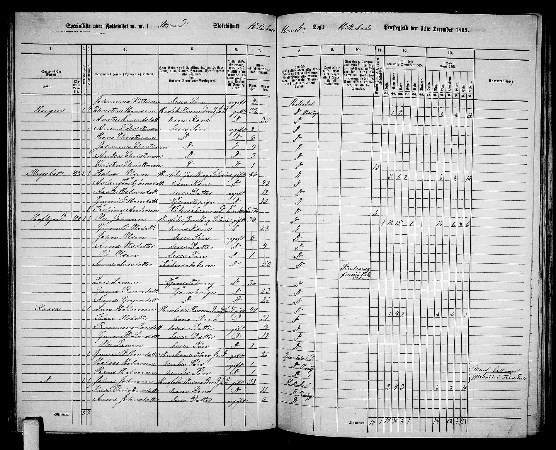 RA, 1865 census for Heddal, 1865, p. 94