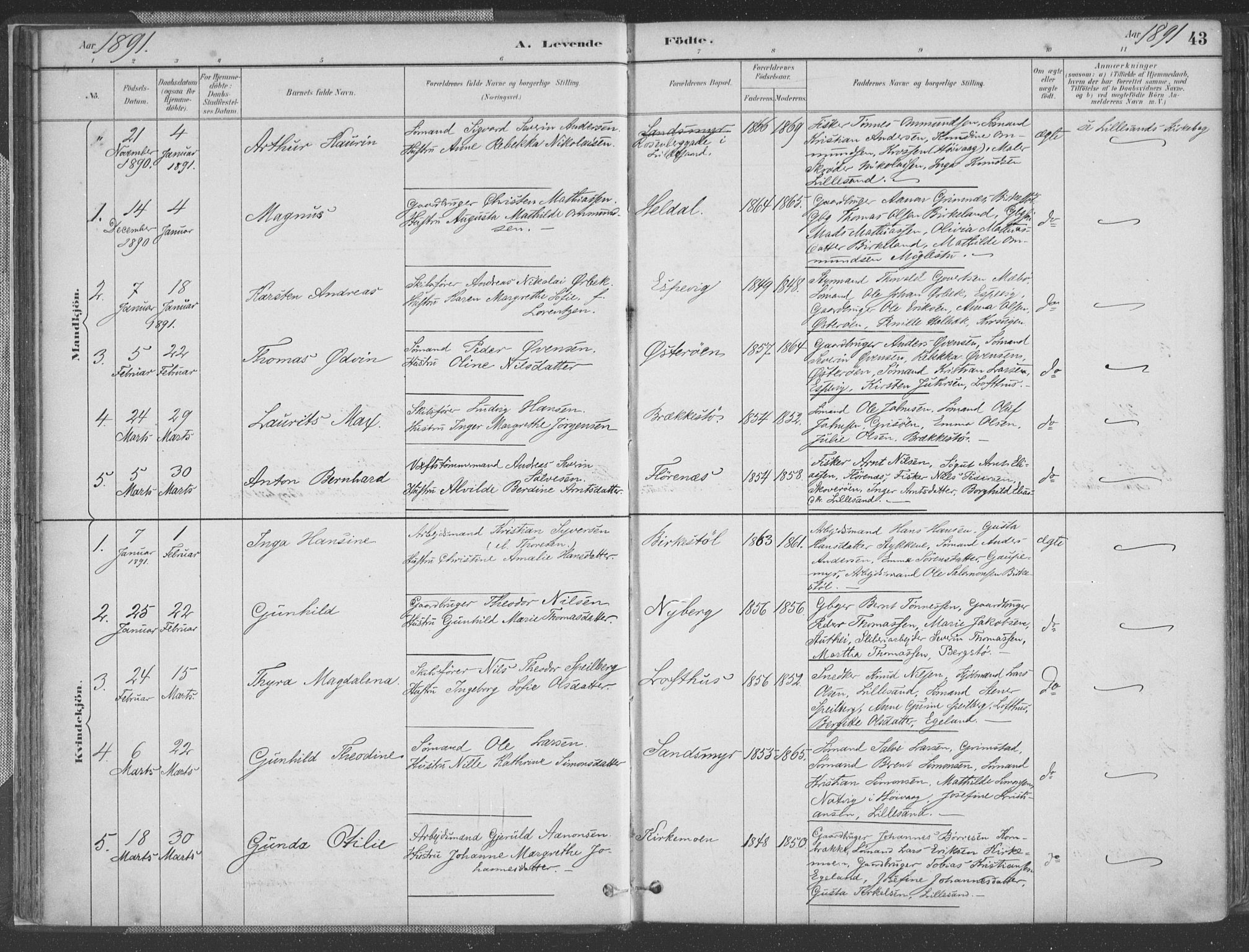 Vestre Moland sokneprestkontor, SAK/1111-0046/F/Fa/Fab/L0009: Parish register (official) no. A 9, 1884-1899, p. 43