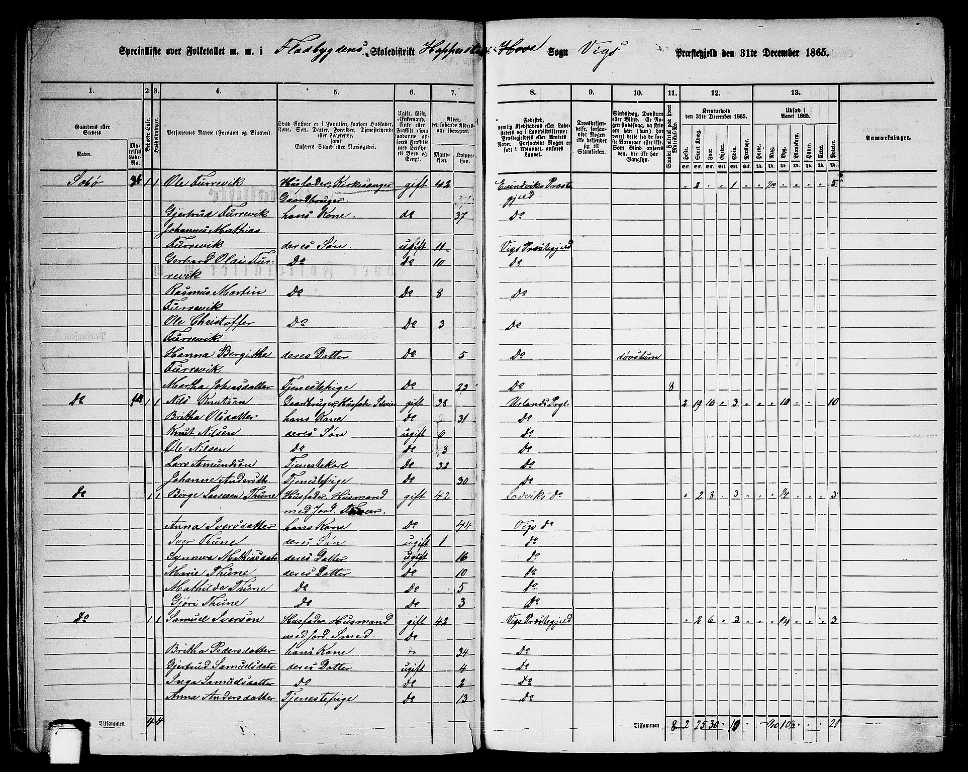 RA, 1865 census for Vik, 1865, p. 32