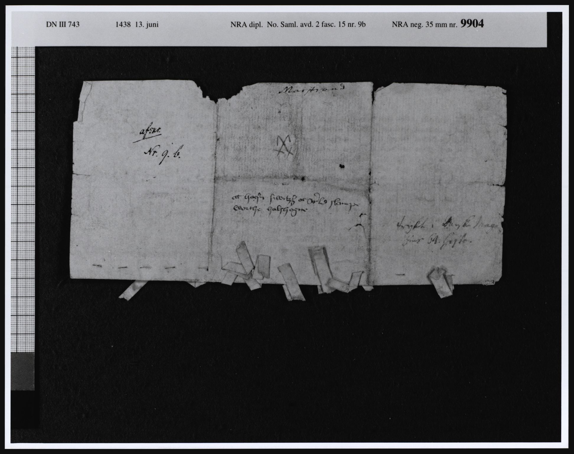 Riksarkivets diplomsamling, AV/RA-EA-5965/F10, 1309-1569, p. 219