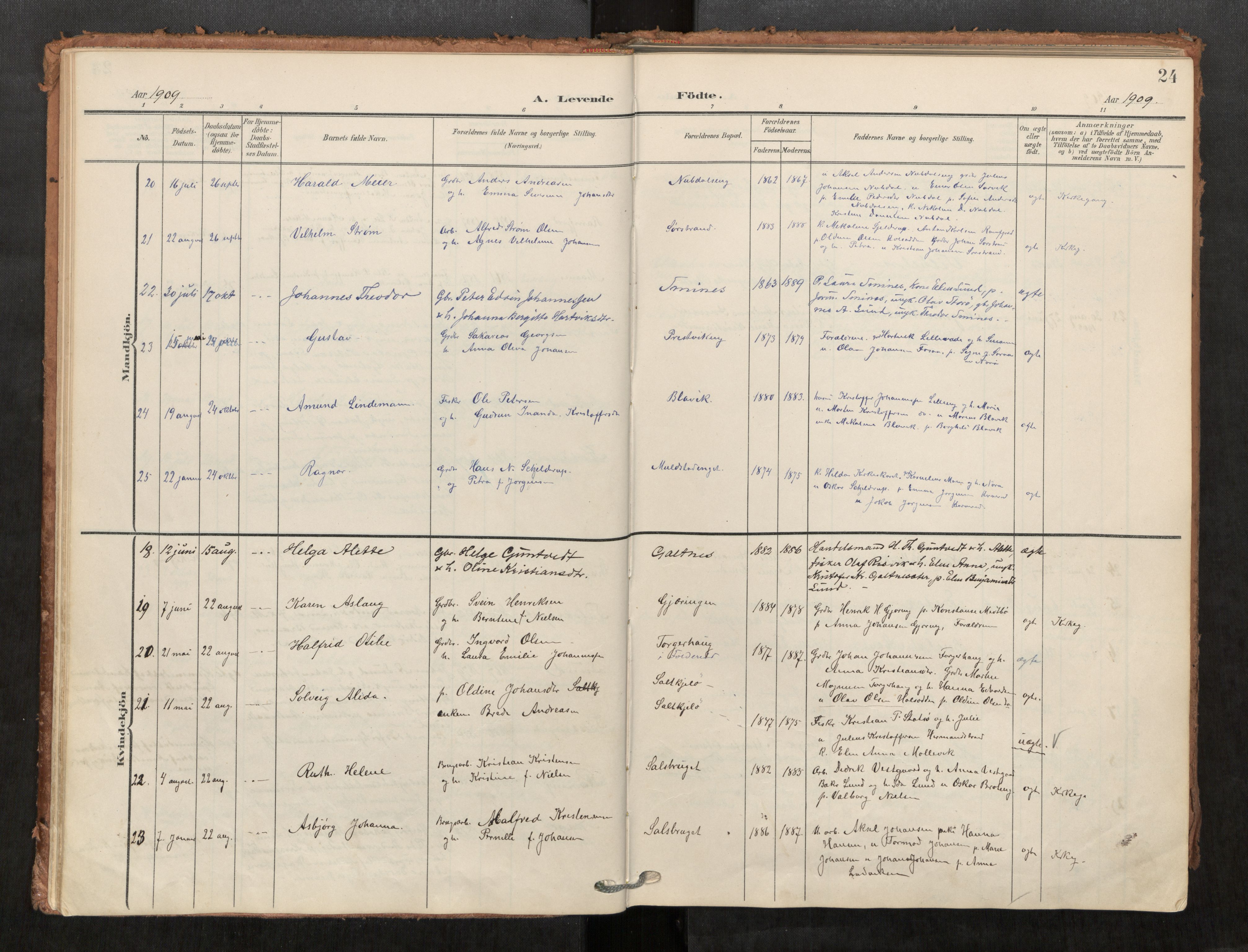 Kolvereid sokneprestkontor, AV/SAT-A-1171/H/Ha/Haa/L0001: Parish register (official) no. 1, 1903-1922, p. 24