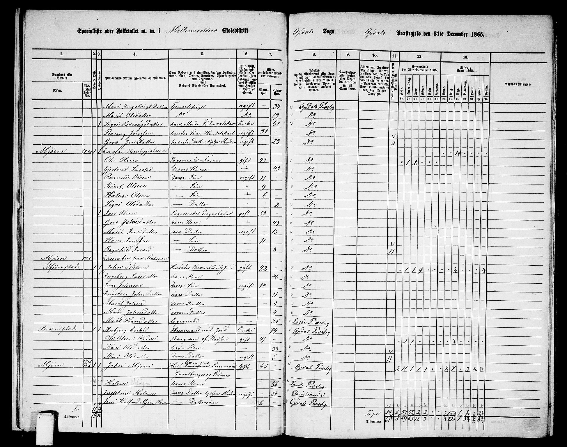 RA, 1865 census for Oppdal, 1865, p. 17