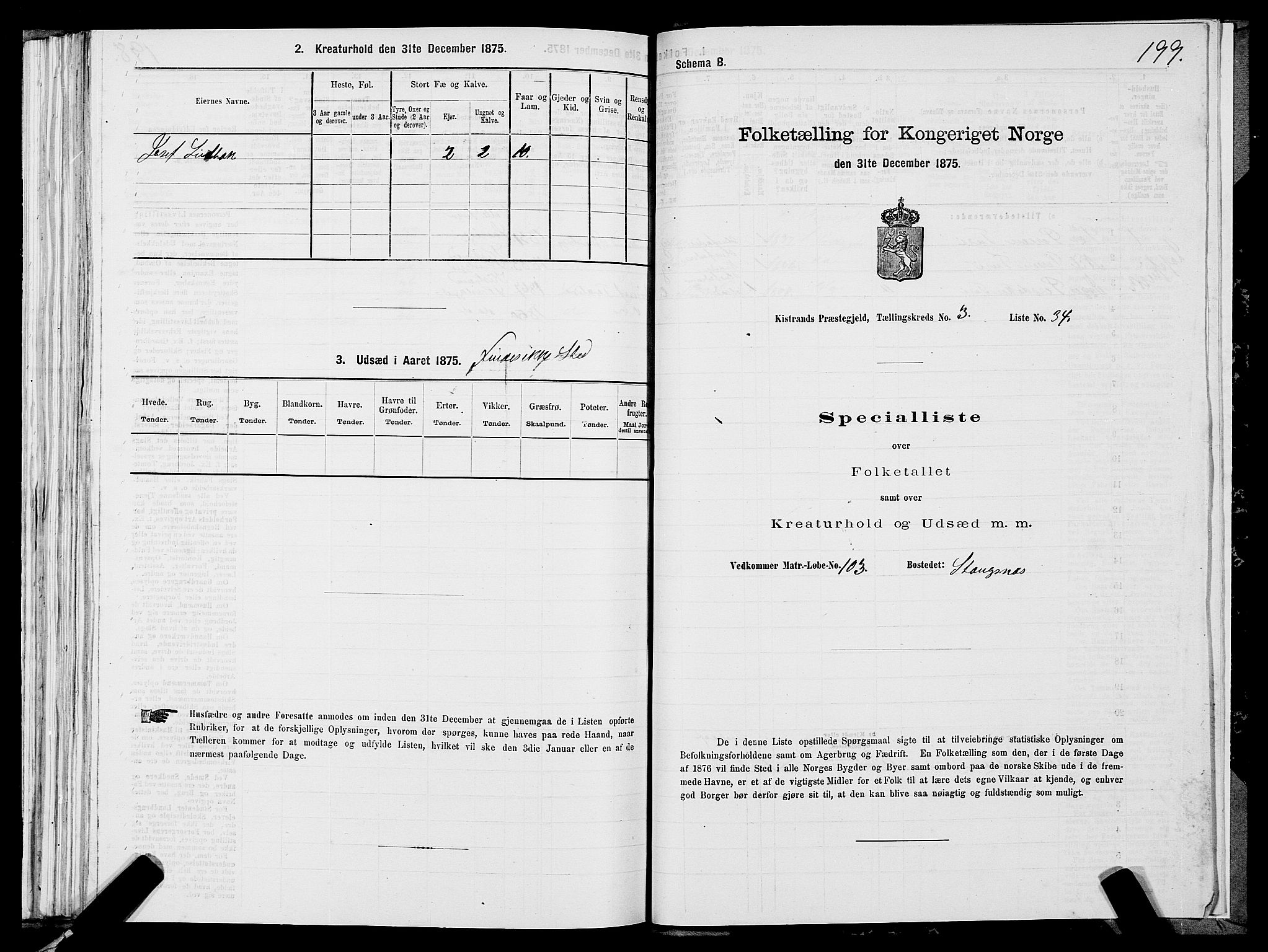 SATØ, 1875 census for 2020P Kistrand, 1875, p. 1199