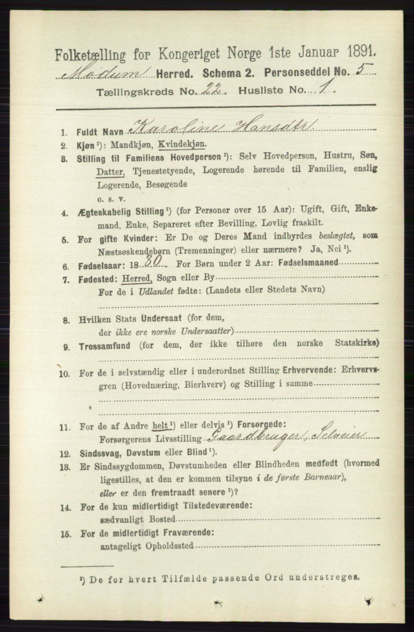 RA, 1891 census for 0623 Modum, 1891, p. 8393