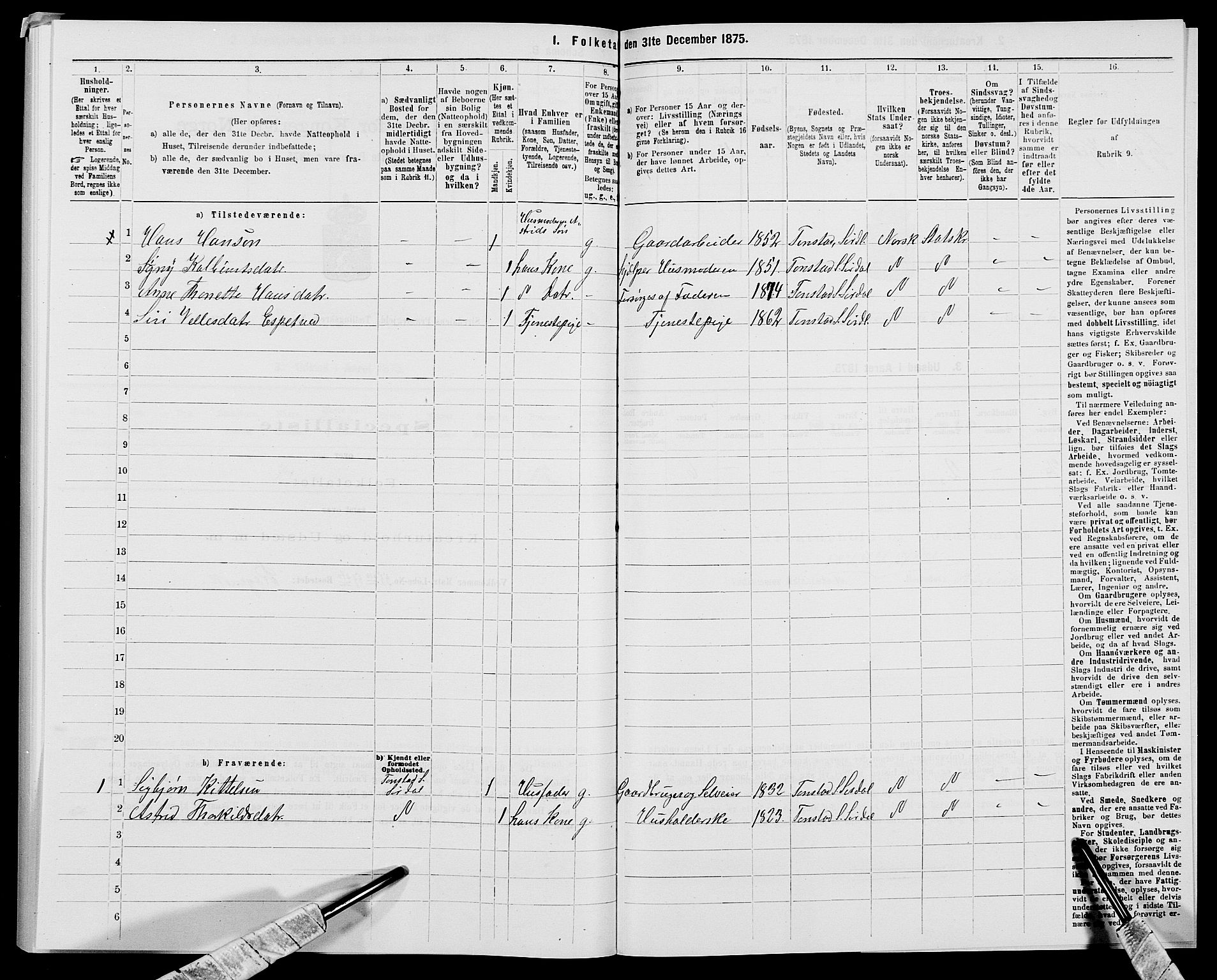 SAK, 1875 census for 1046P Sirdal, 1875, p. 269