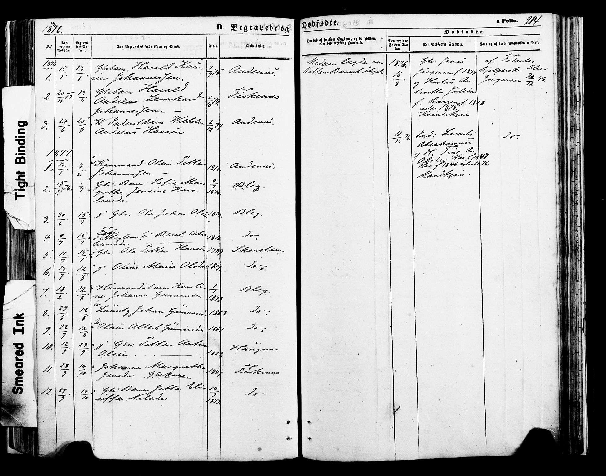 Ministerialprotokoller, klokkerbøker og fødselsregistre - Nordland, SAT/A-1459/897/L1398: Parish register (official) no. 897A05 /2, 1867-1880, p. 214