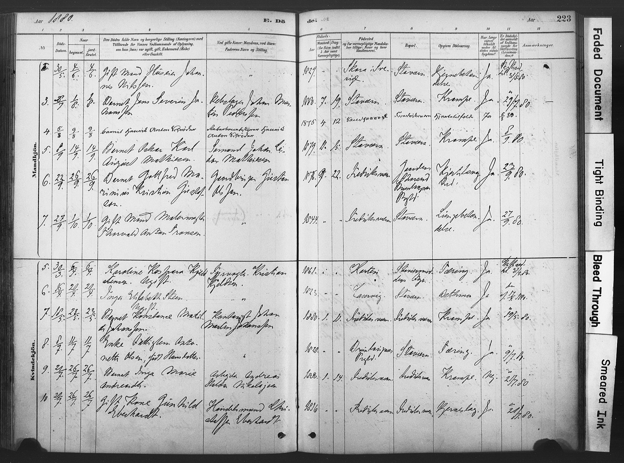 Stavern kirkebøker, AV/SAKO-A-318/F/Fa/L0008: Parish register (official) no. 8, 1878-1905, p. 223