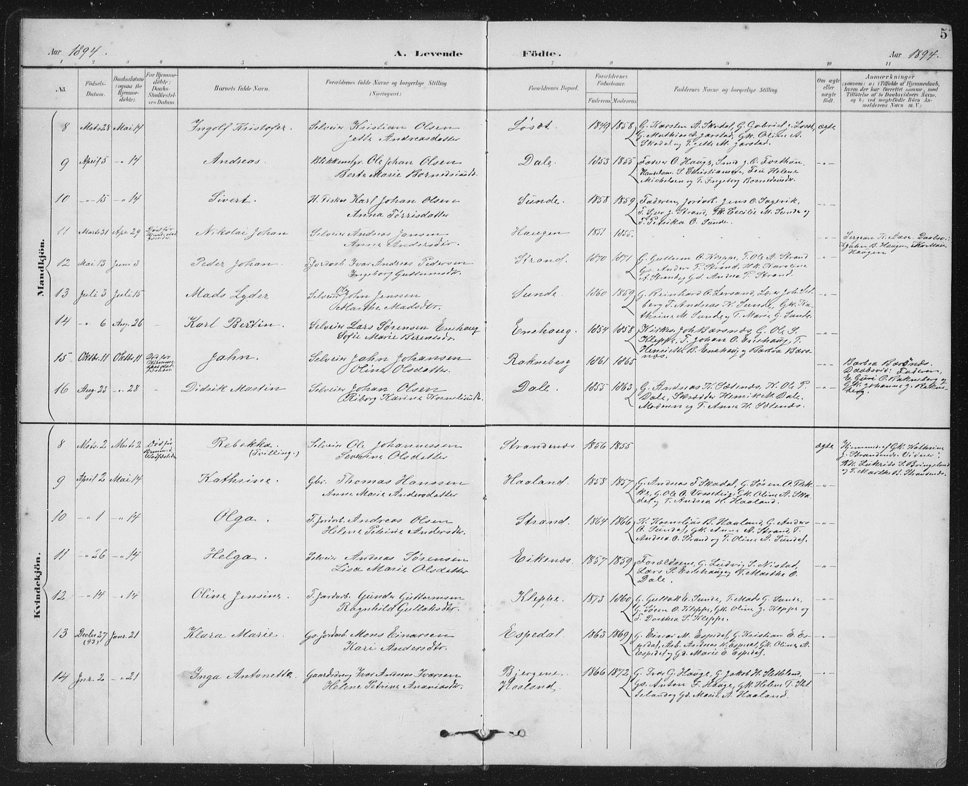 Fjaler sokneprestembete, SAB/A-79801/H/Hab/Habc/L0003: Parish register (copy) no. C 3, 1894-1917, p. 5