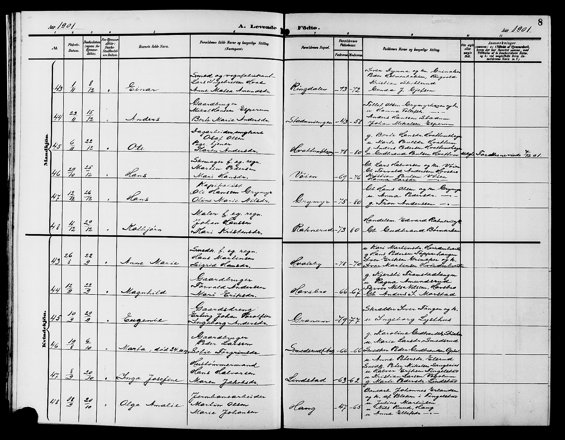 Gran prestekontor, AV/SAH-PREST-112/H/Ha/Hab/L0006: Parish register (copy) no. 6, 1901-1911, p. 8